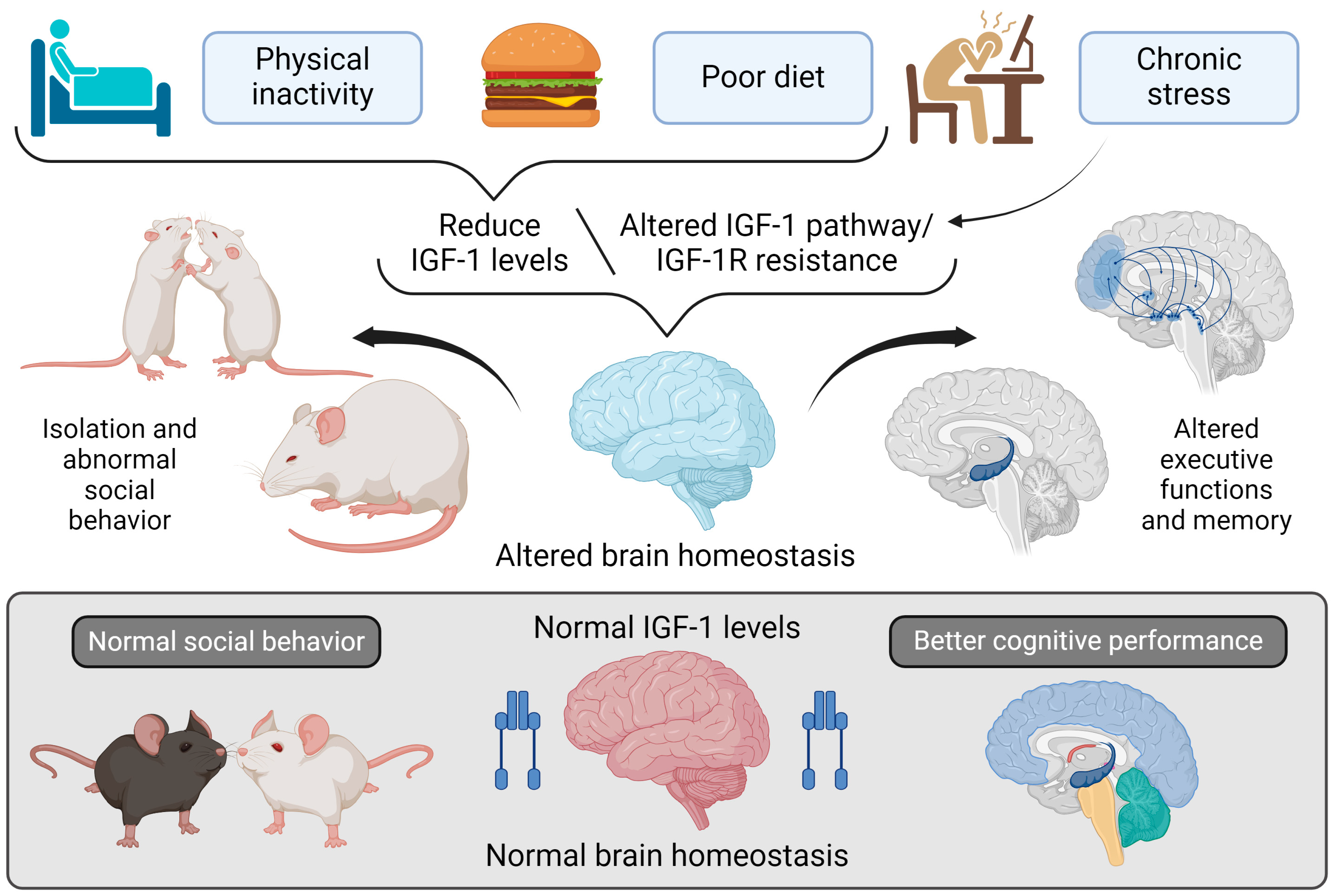 Cimb 47 00233 g005 Cimb 47 00233 g005