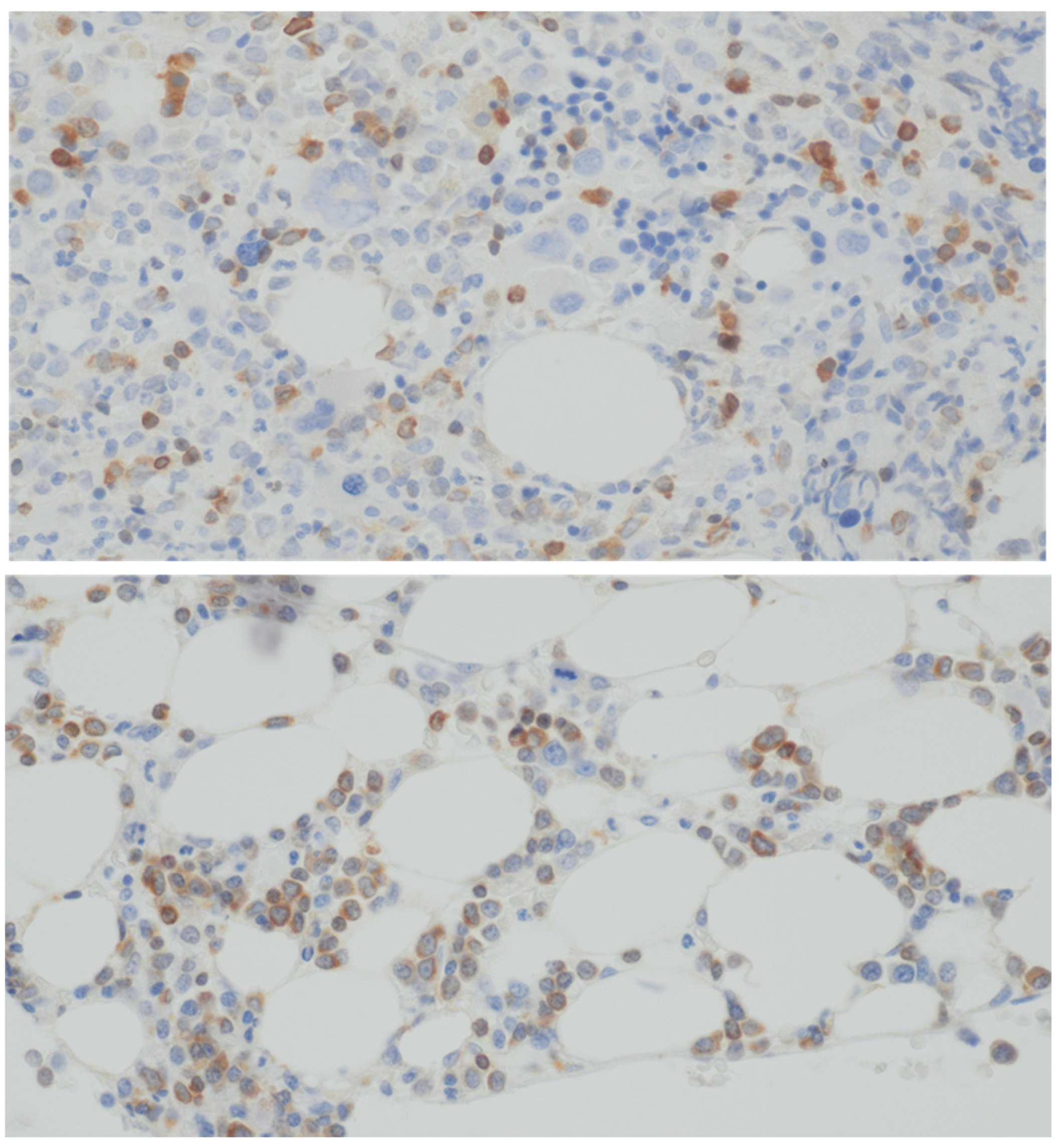 Cimb 47 00346 sch001