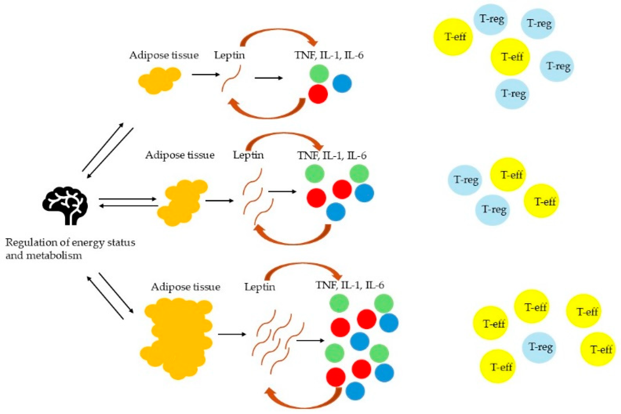 Cimb 47 00357 g001 Cimb 47 00357 g001