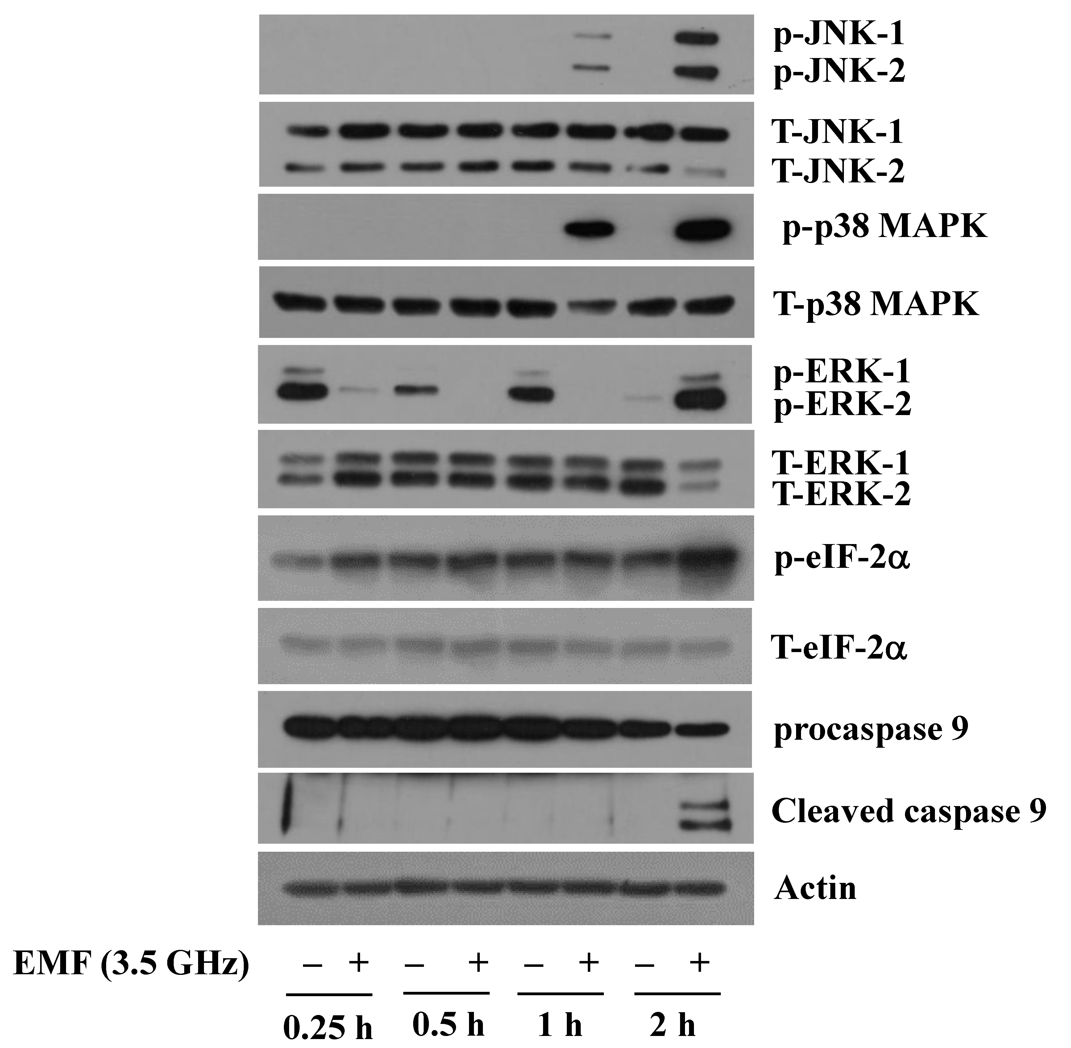 Cimb 47 00386 g002 Cimb 47 00386 g002