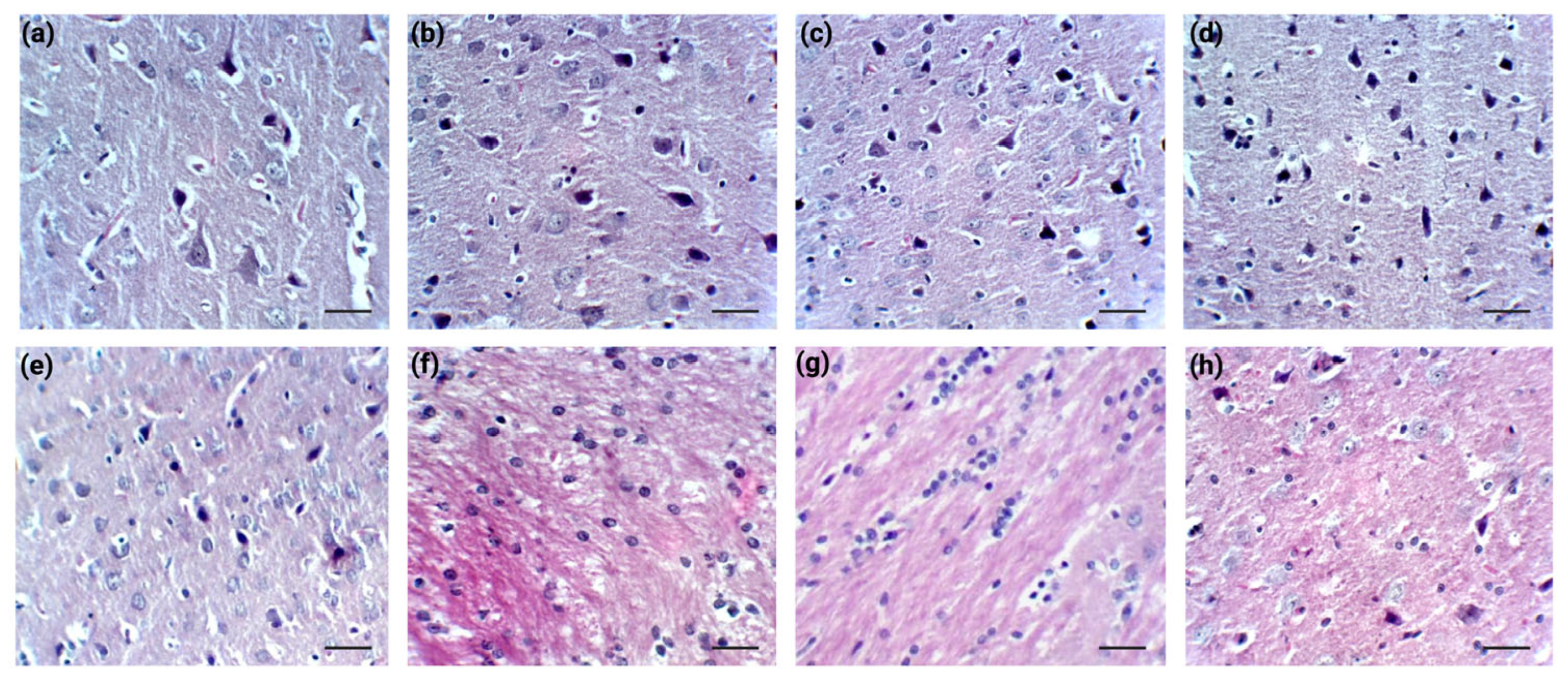 Cimb 47 00399 g008 Cimb 47 00399 g008