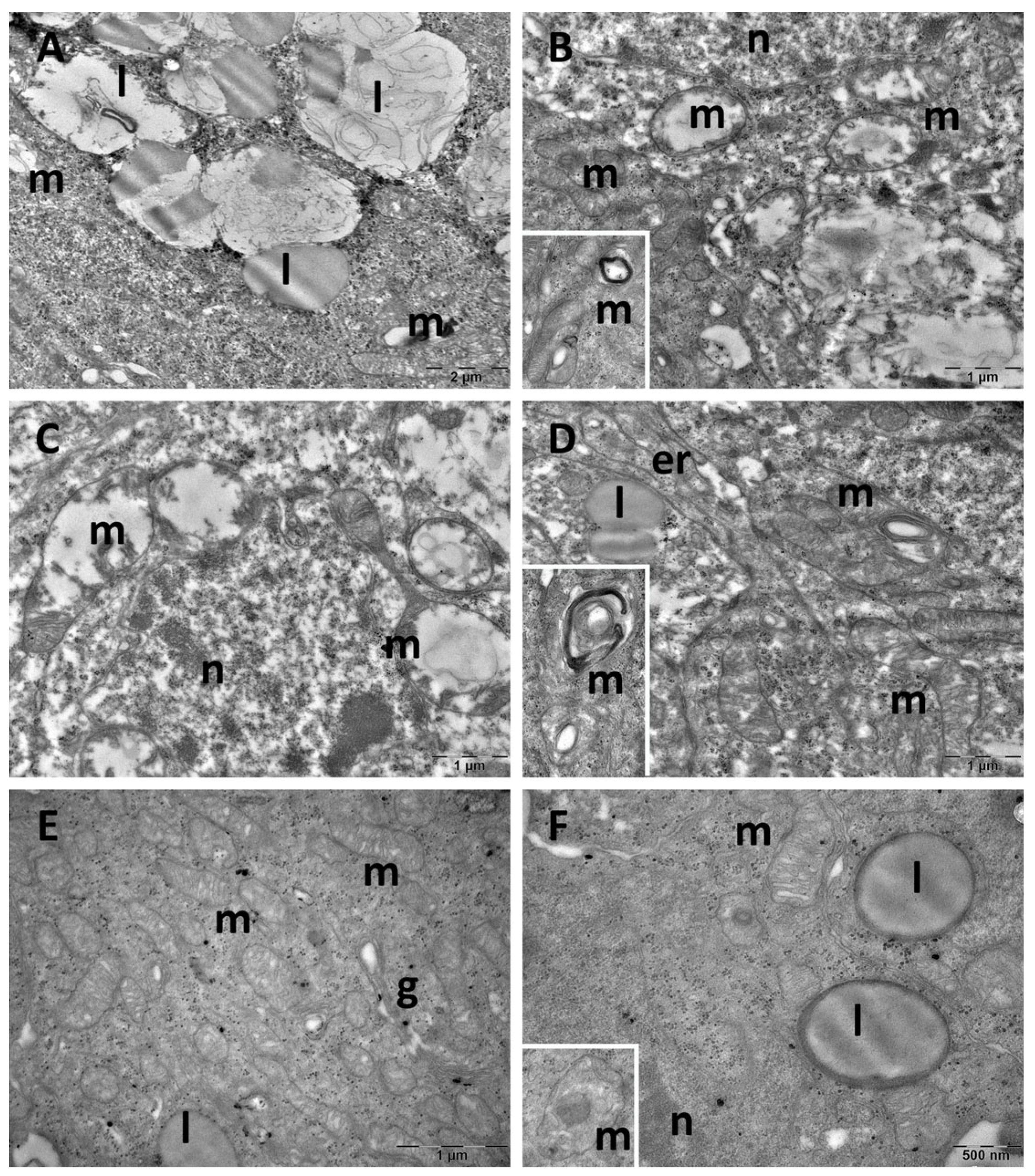 Cimb 47 00399 g014 Cimb 47 00399 g014