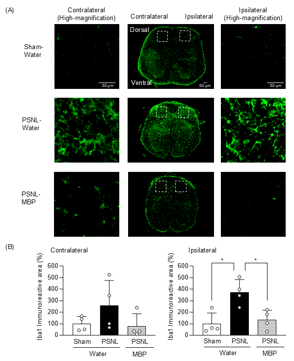 Cimb 47 00453 g005 Cimb 47 00453 g005