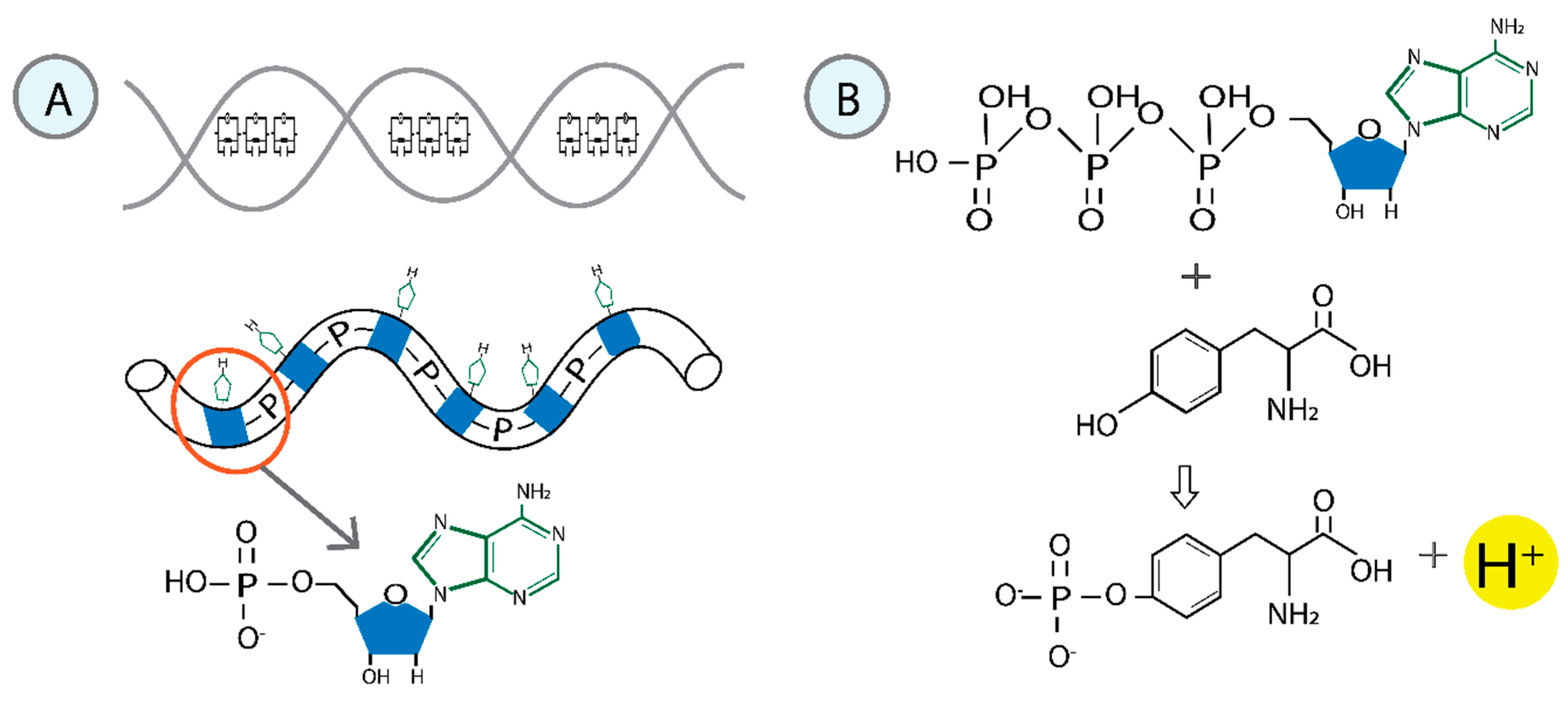 Cimb 47 00571 g001 Cimb 47 00571 g001