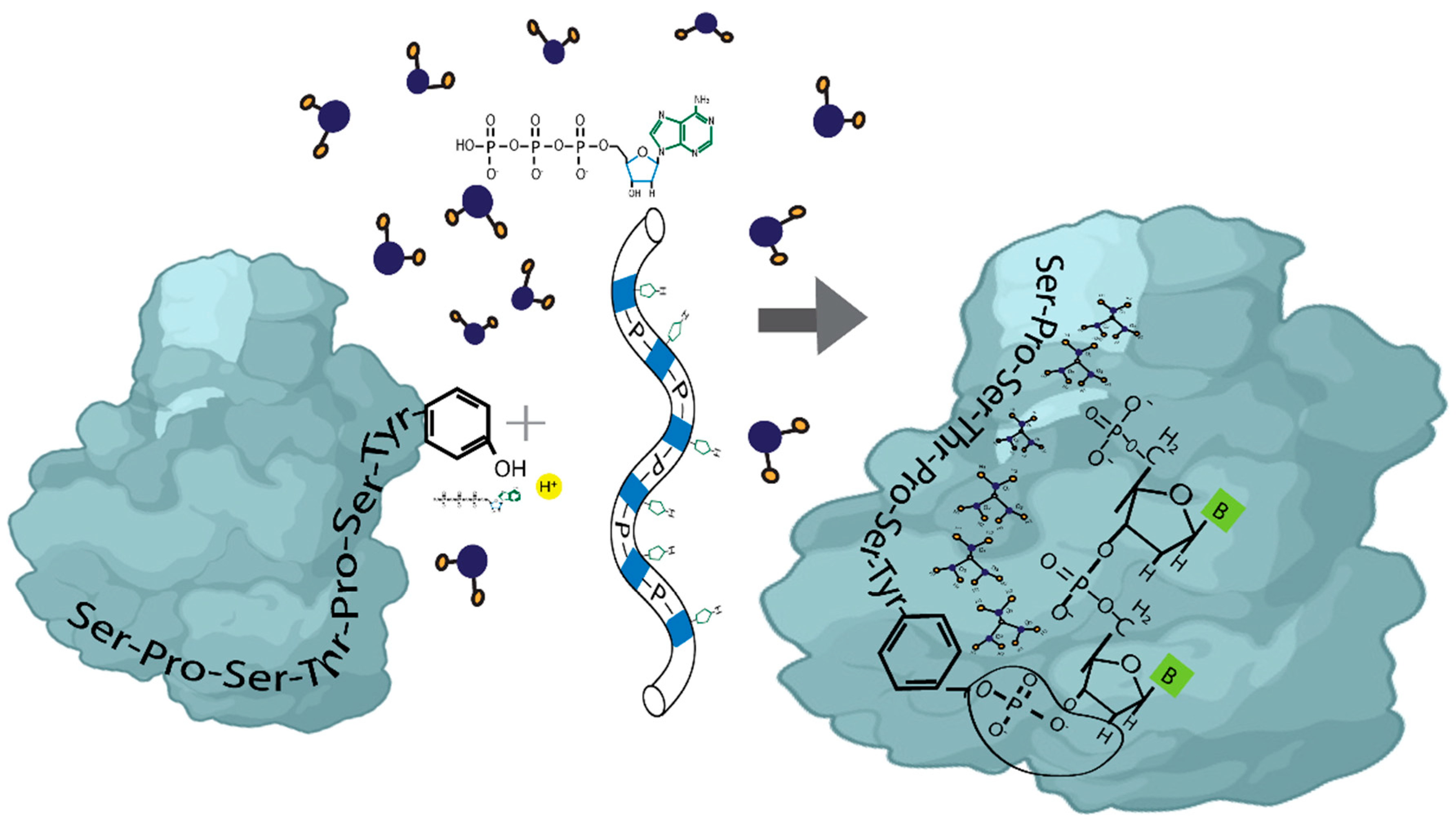 Cimb 47 00571 g002 Cimb 47 00571 g002