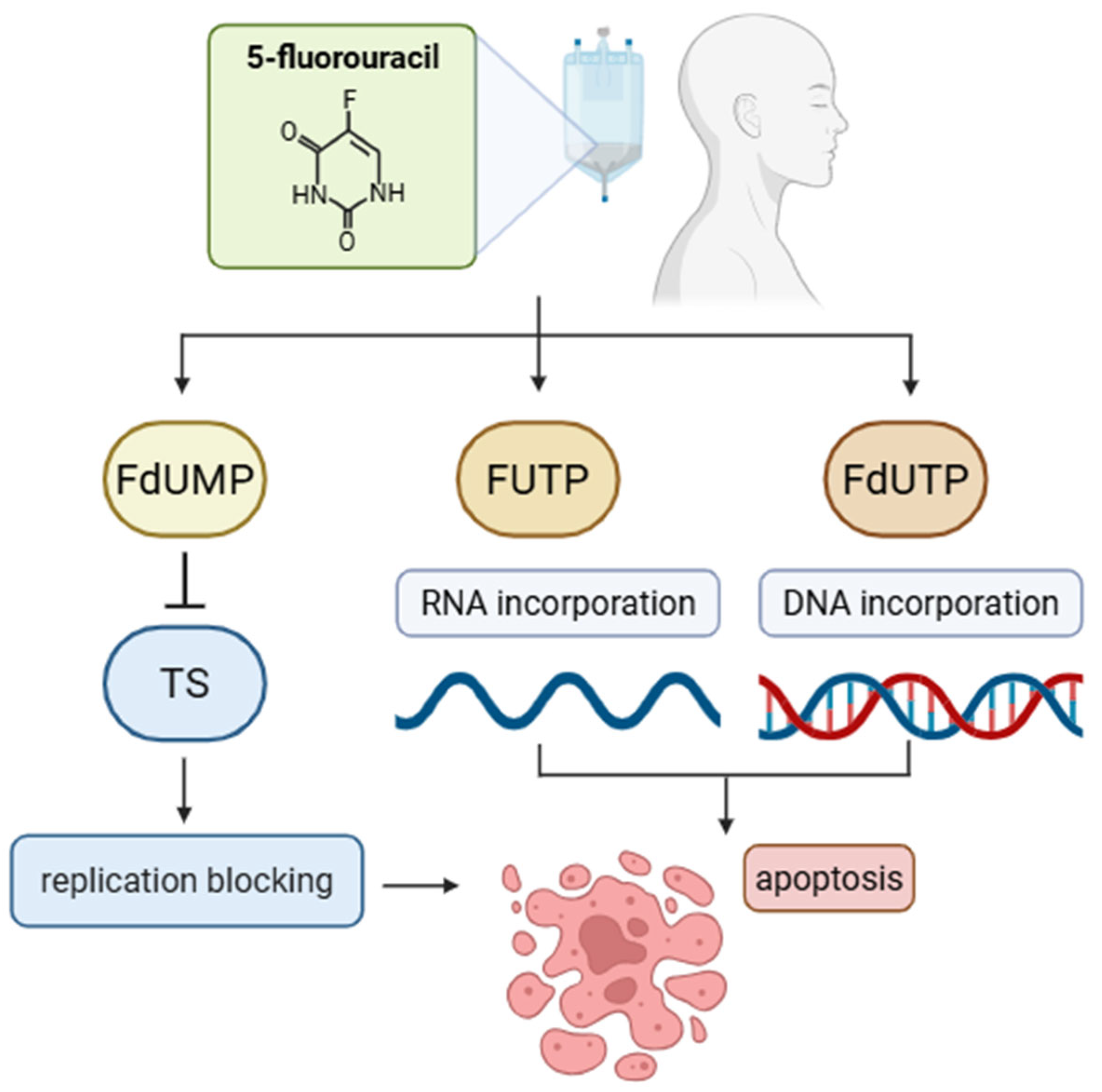 Cimb 47 00609 g002 Cimb 47 00609 g002