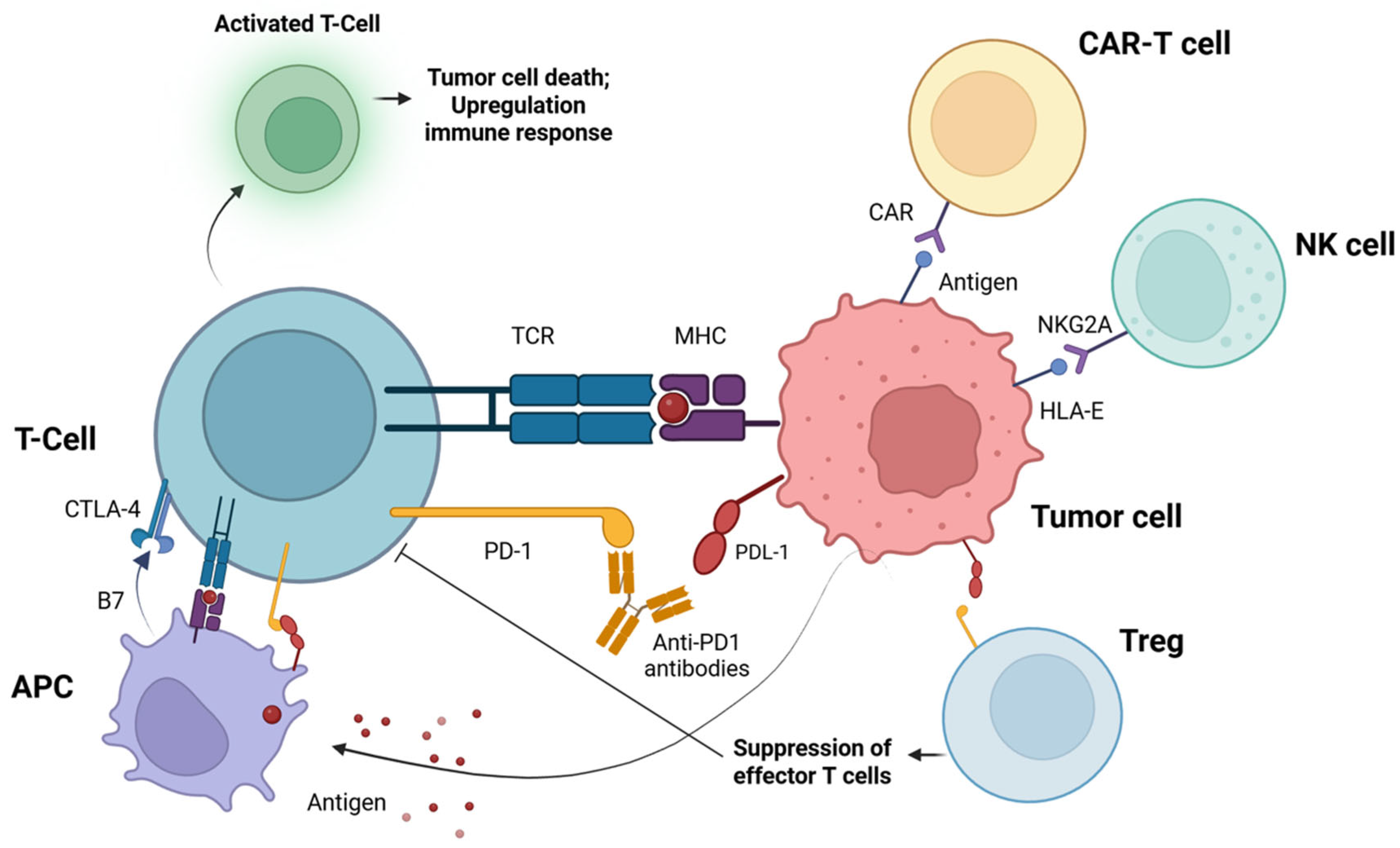 Cimb 47 00609 g003 Cimb 47 00609 g003