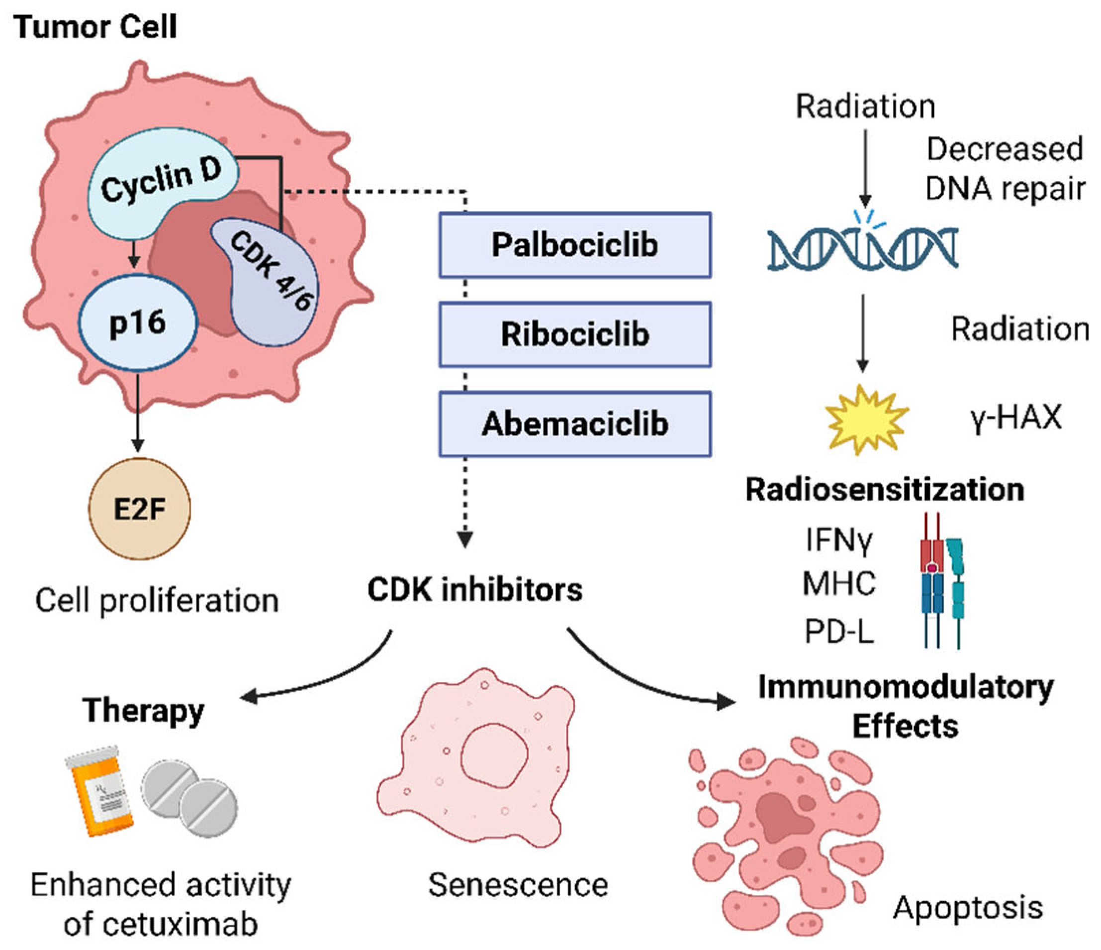 Cimb 47 00609 g004 Cimb 47 00609 g004