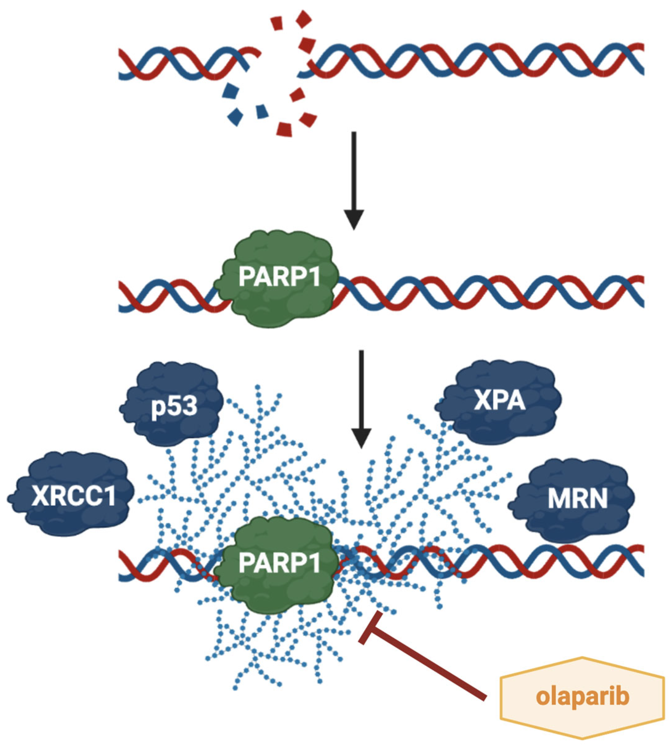 Cimb 47 00609 g005 Cimb 47 00609 g005