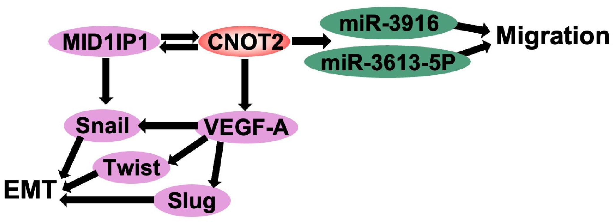 Cimb 47 00615 g002 Cimb 47 00615 g002