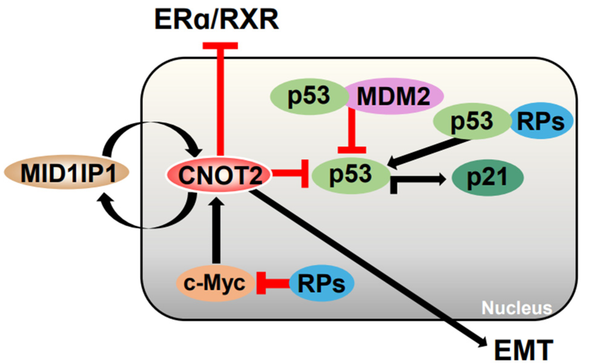 Cimb 47 00615 g004 Cimb 47 00615 g004