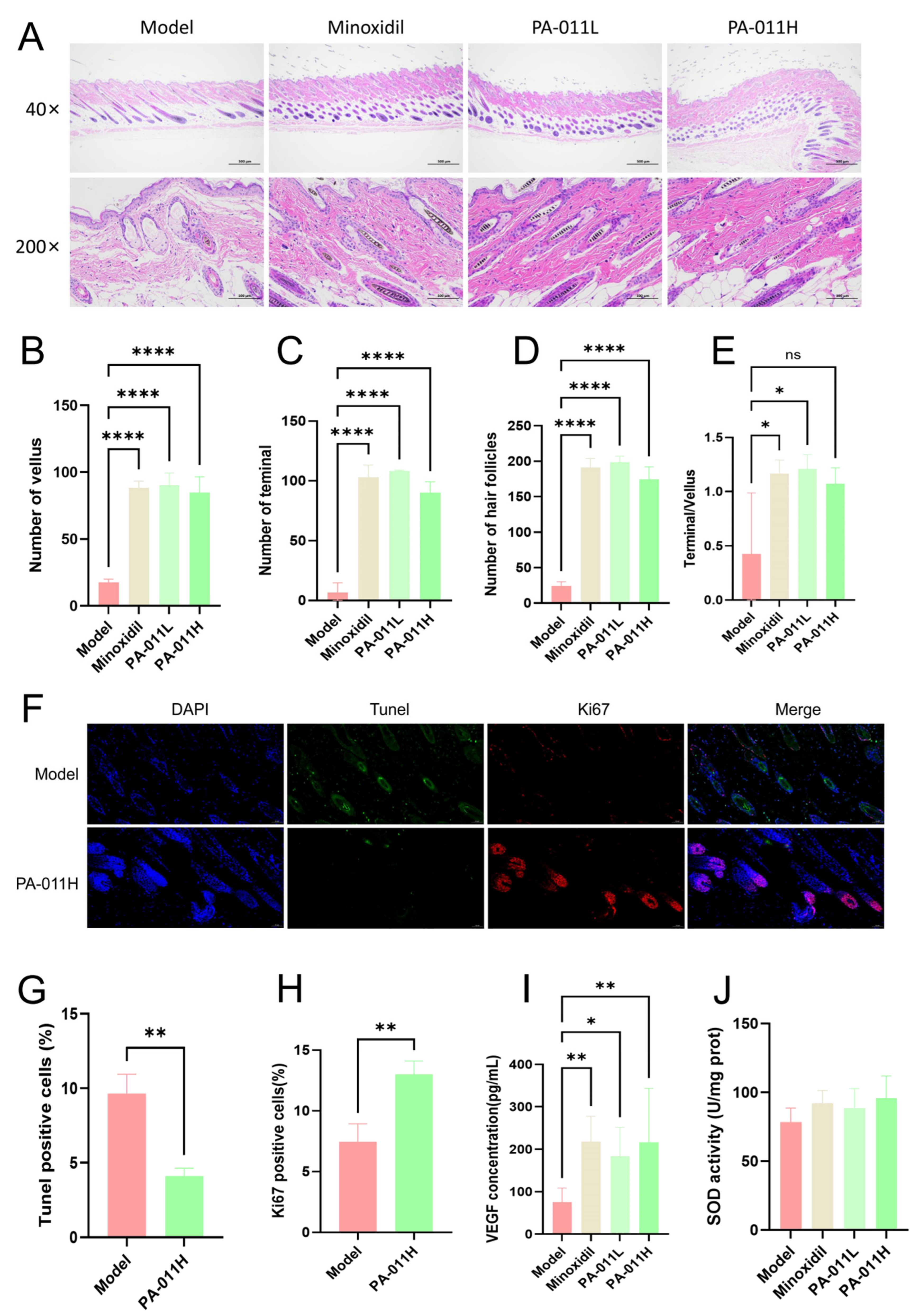 Cimb 47 00619 g006 Cimb 47 00619 g006