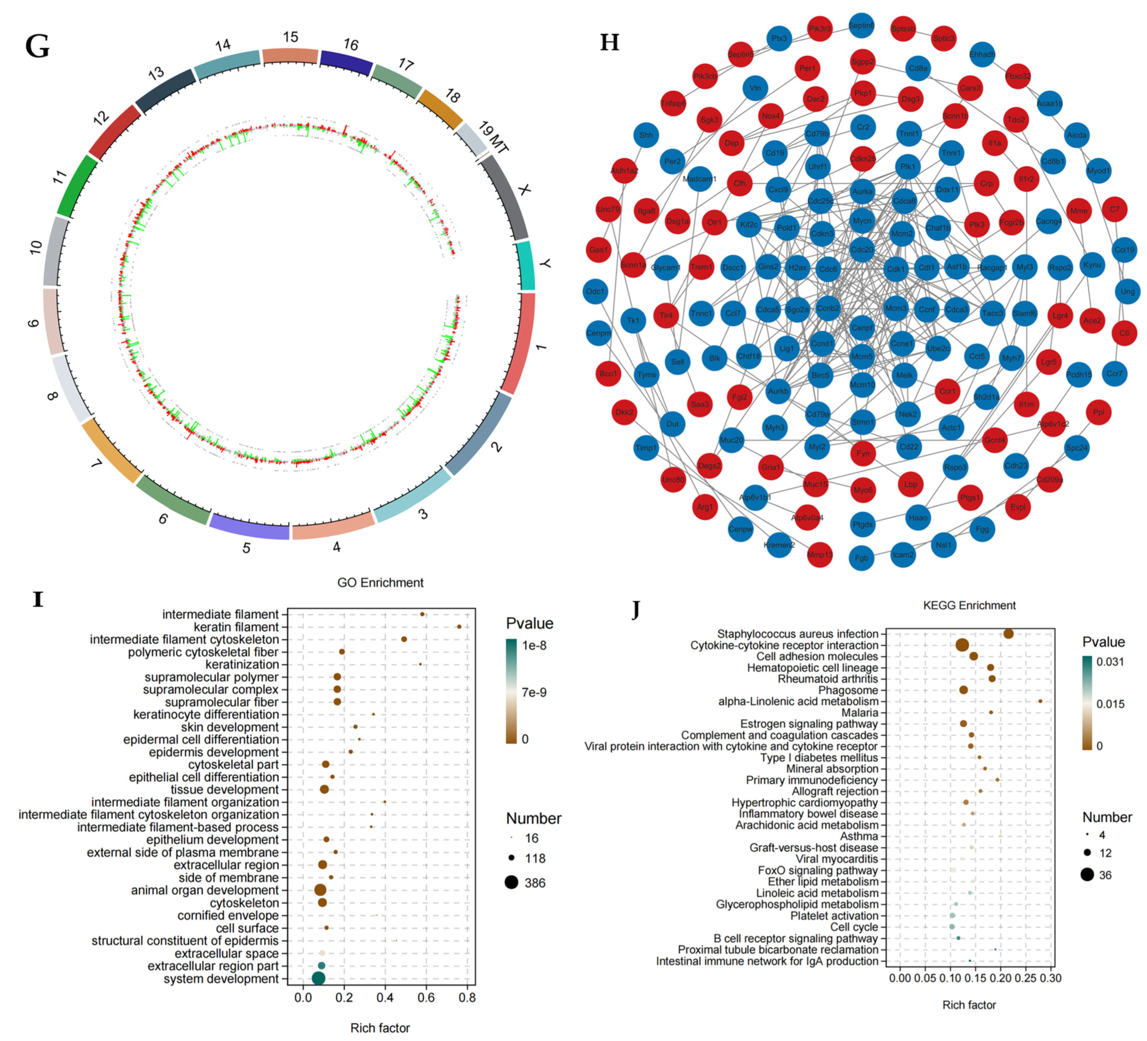 Cimb 47 00619 g008b Cimb 47 00619 g008b