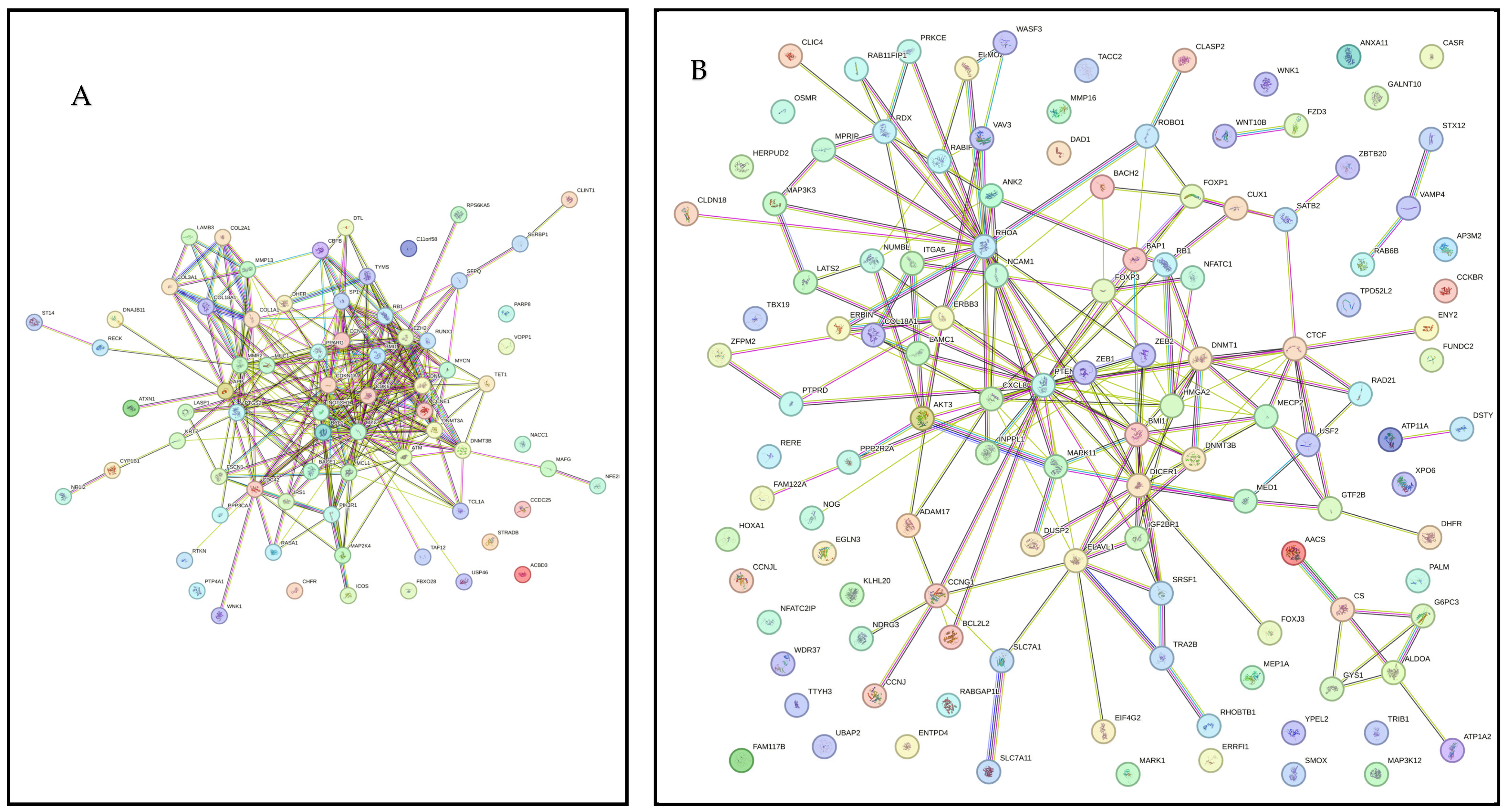 Cimb 47 00643 g002 Cimb 47 00643 g002