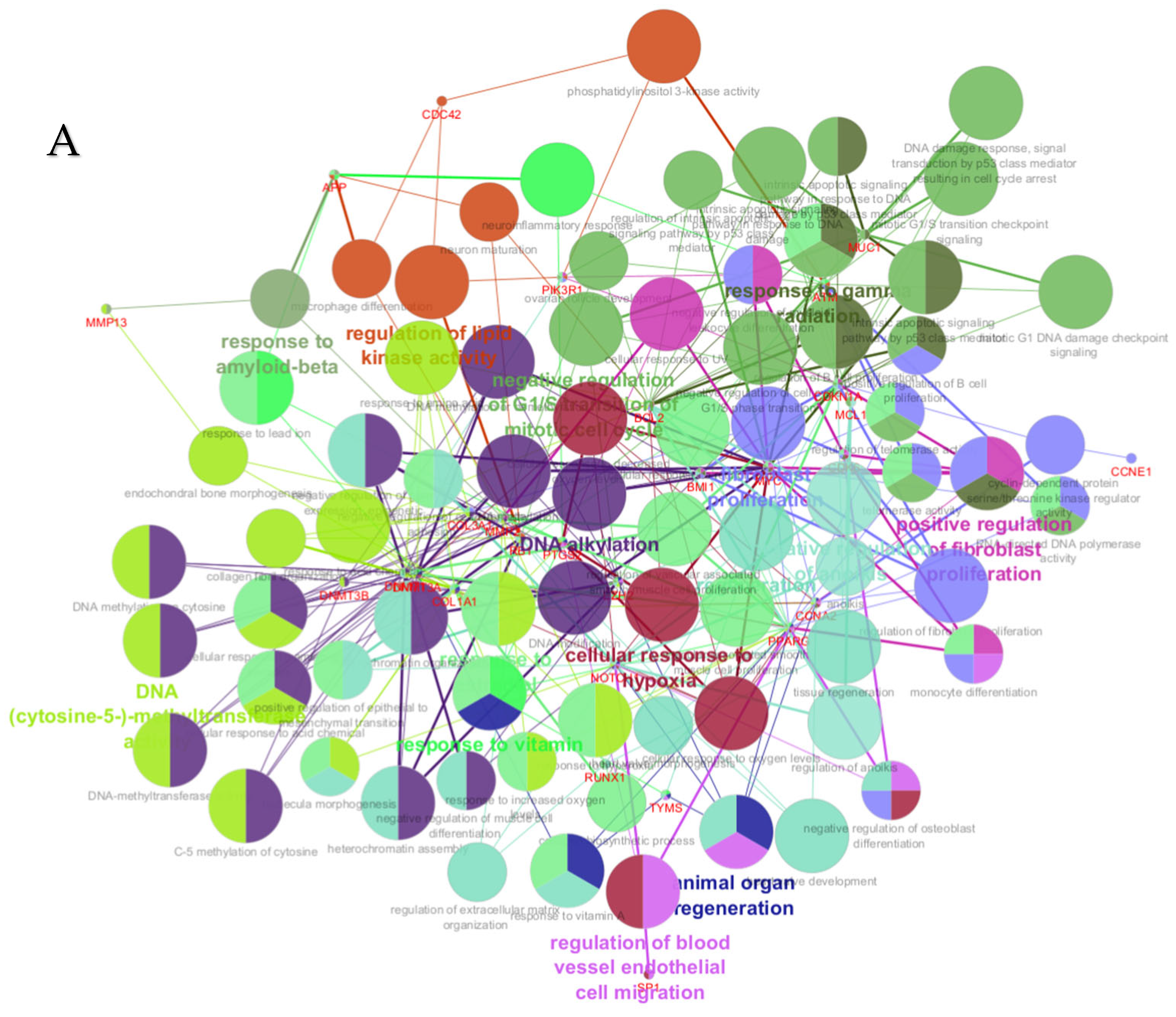 Cimb 47 00643 g006a Cimb 47 00643 g006a