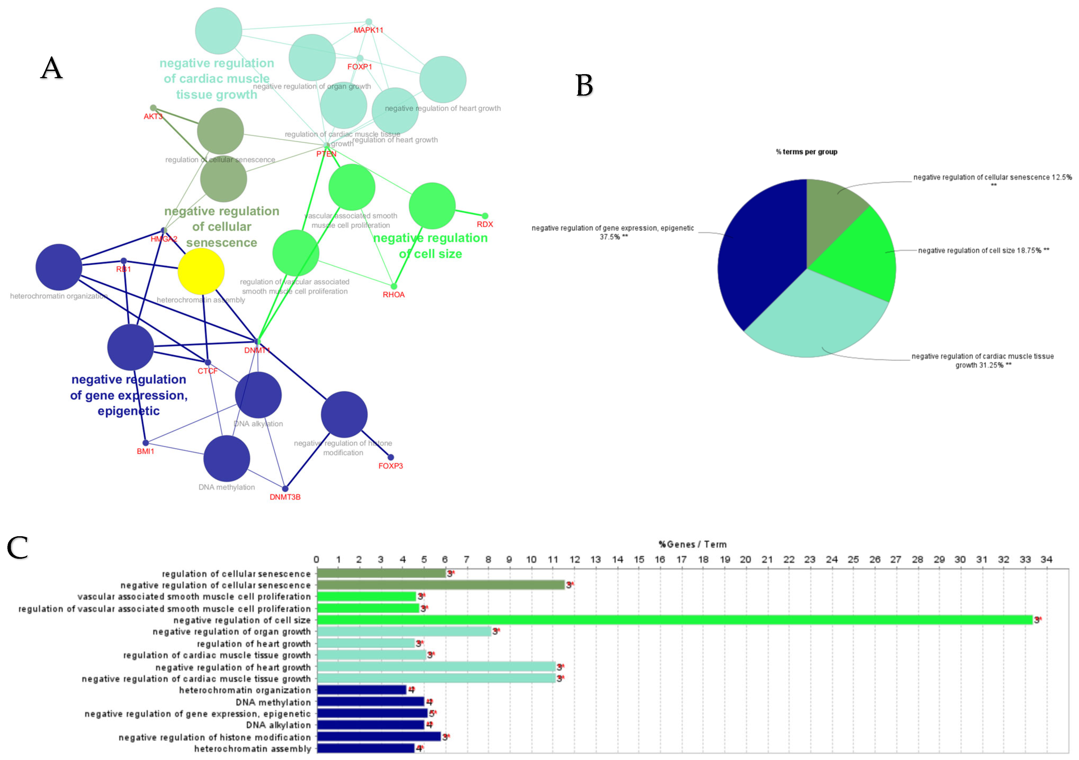 Cimb 47 00643 g007 Cimb 47 00643 g007