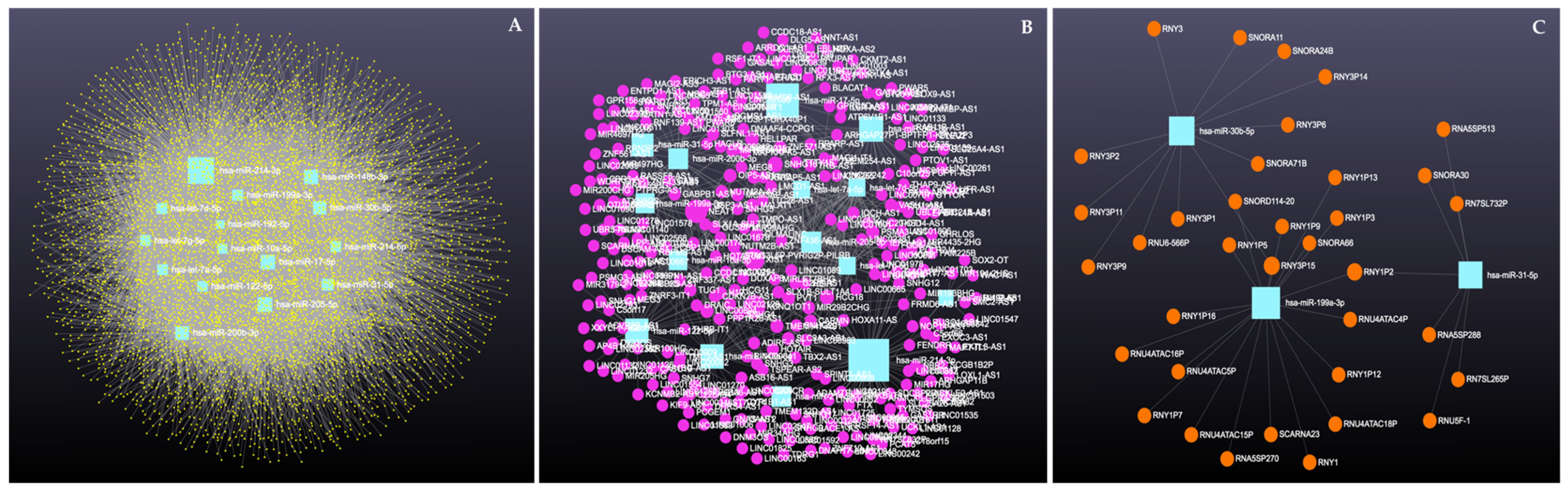 Cimb 47 00643 g011 Cimb 47 00643 g011