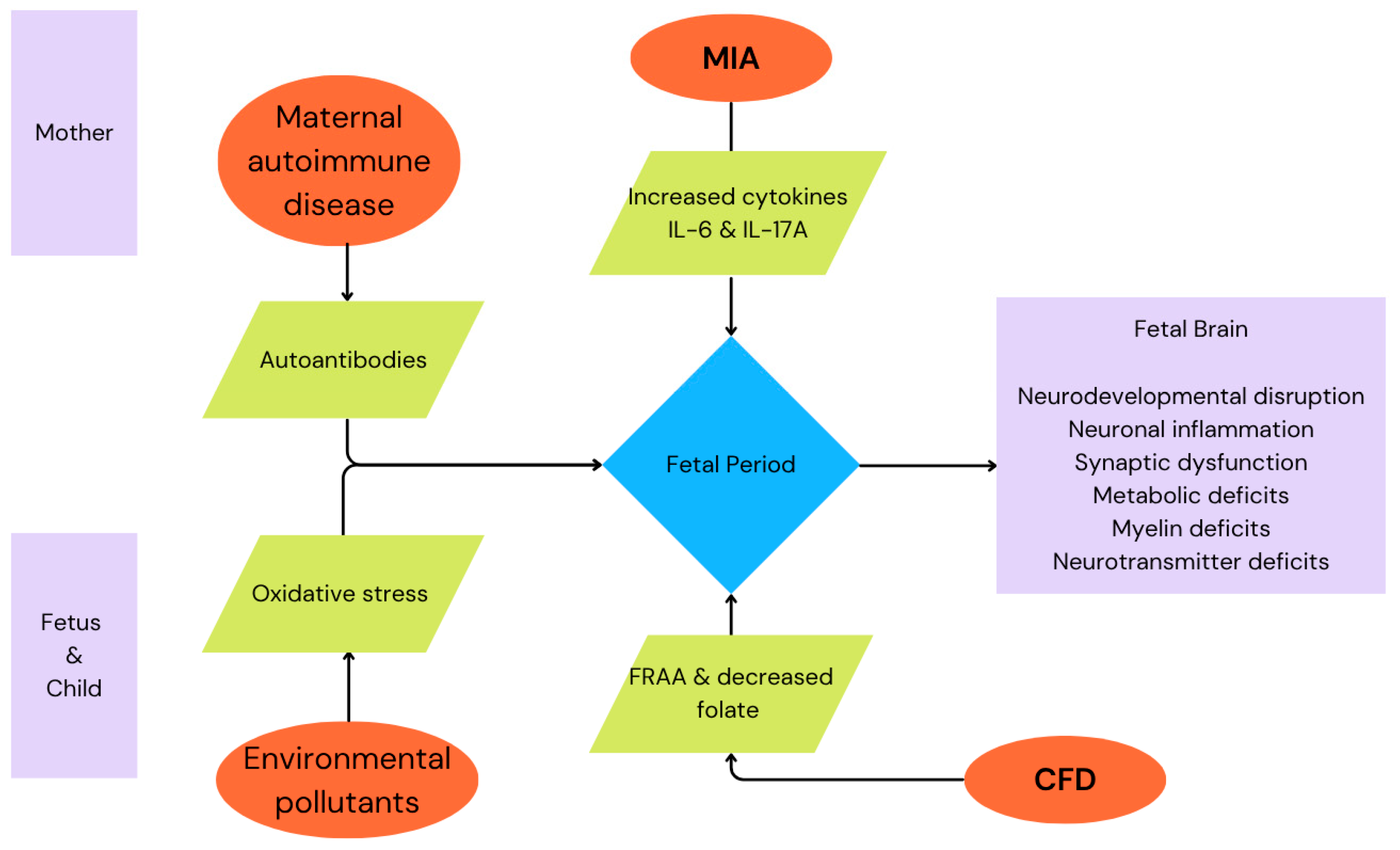 Cimb 47 00721 g001 Cimb 47 00721 g001