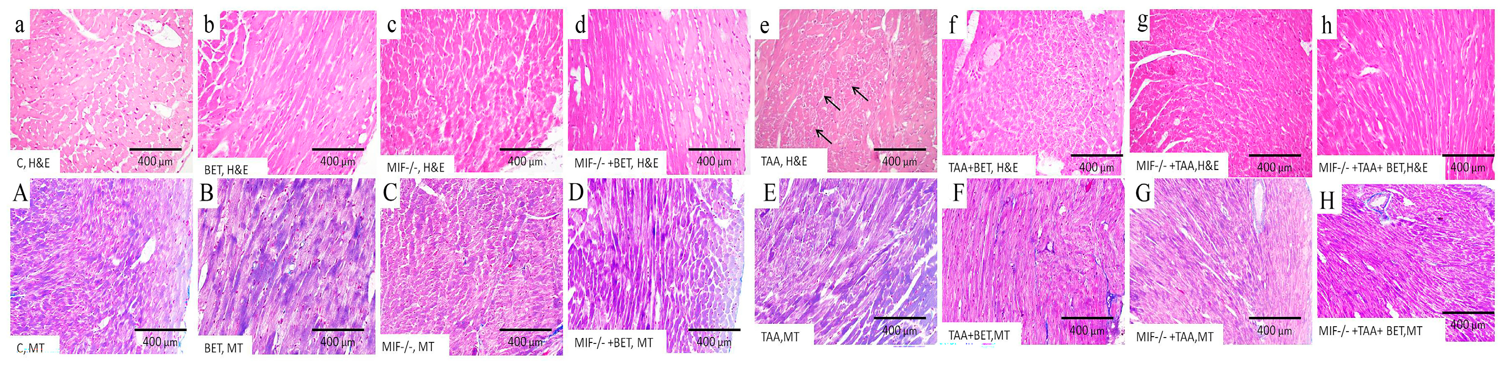 Cimb 47 00728 g004 Cimb 47 00728 g004