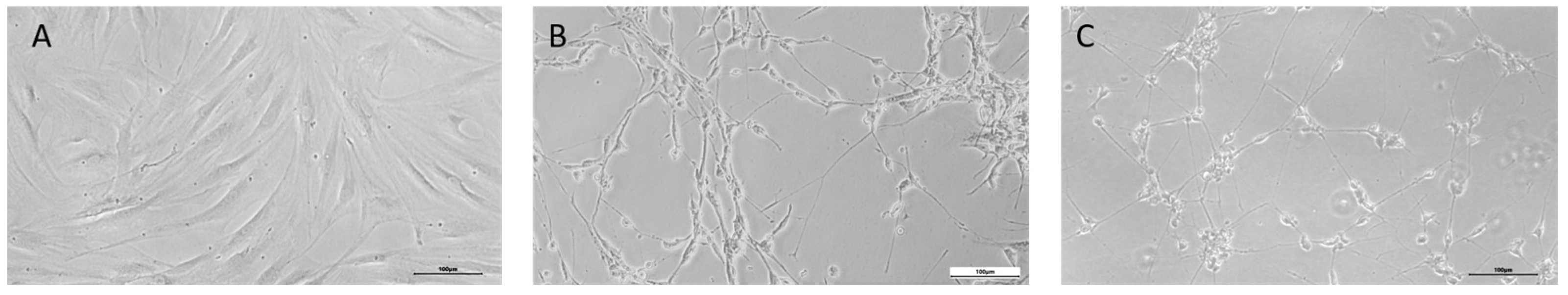 Cimb 47 00739 g001 Cimb 47 00739 g001