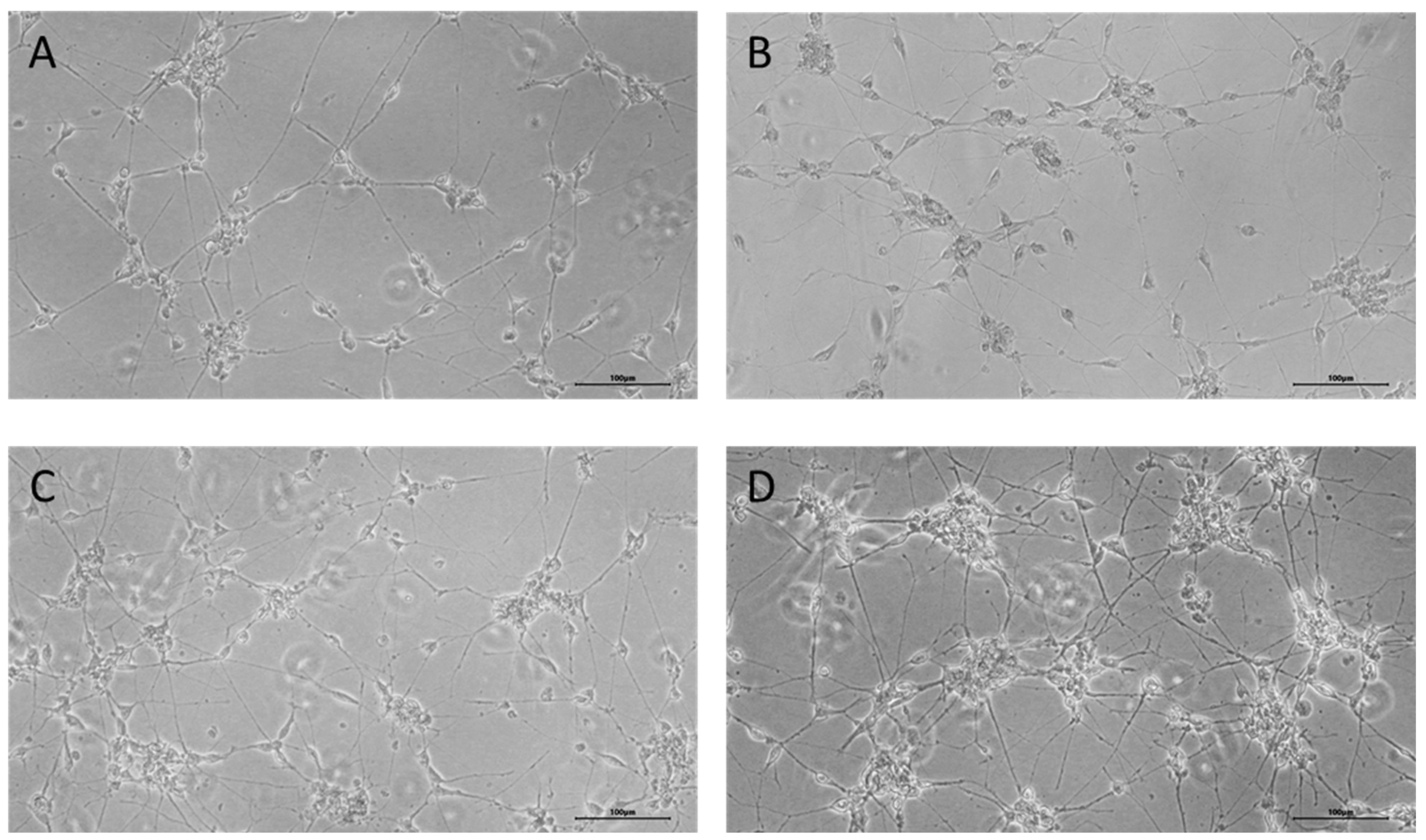 Cimb 47 00739 g002 Cimb 47 00739 g002