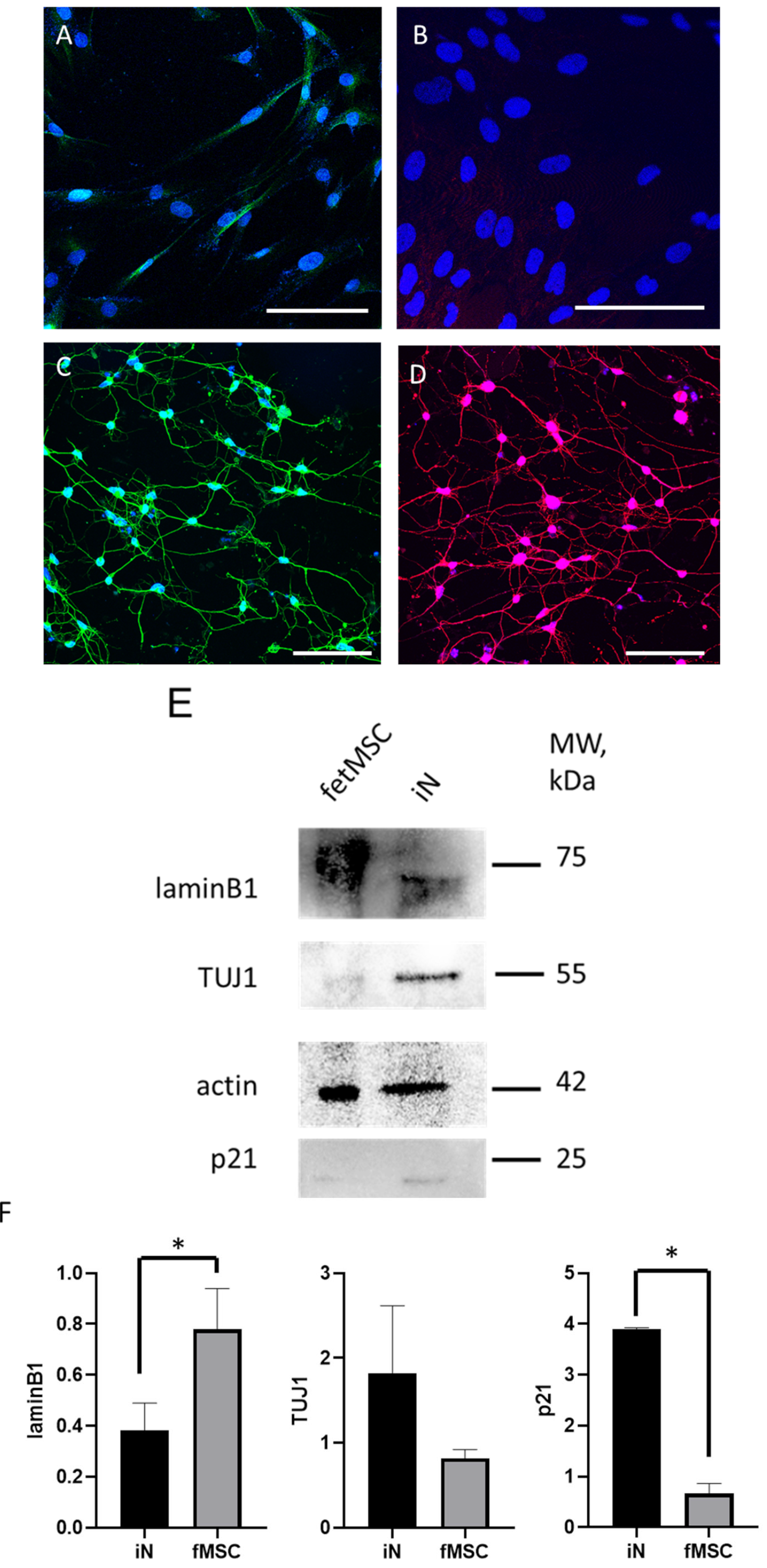 Cimb 47 00739 g003 Cimb 47 00739 g003