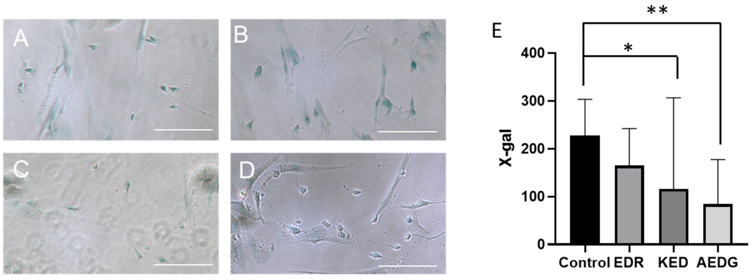 Cimb 47 00739 g007 Cimb 47 00739 g007