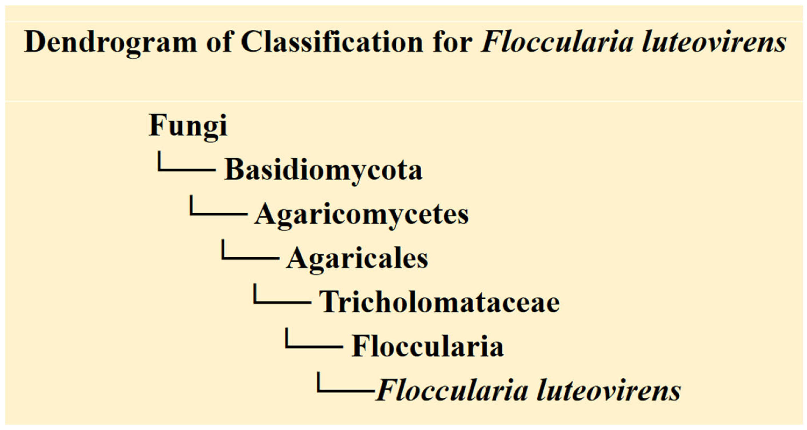 Cimb 47 00742 g001 Cimb 47 00742 g001