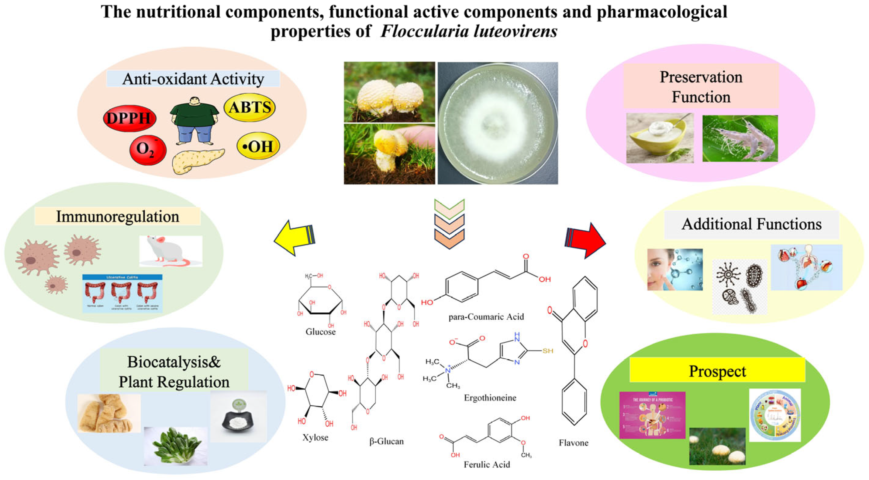 Cimb 47 00742 g004 Cimb 47 00742 g004