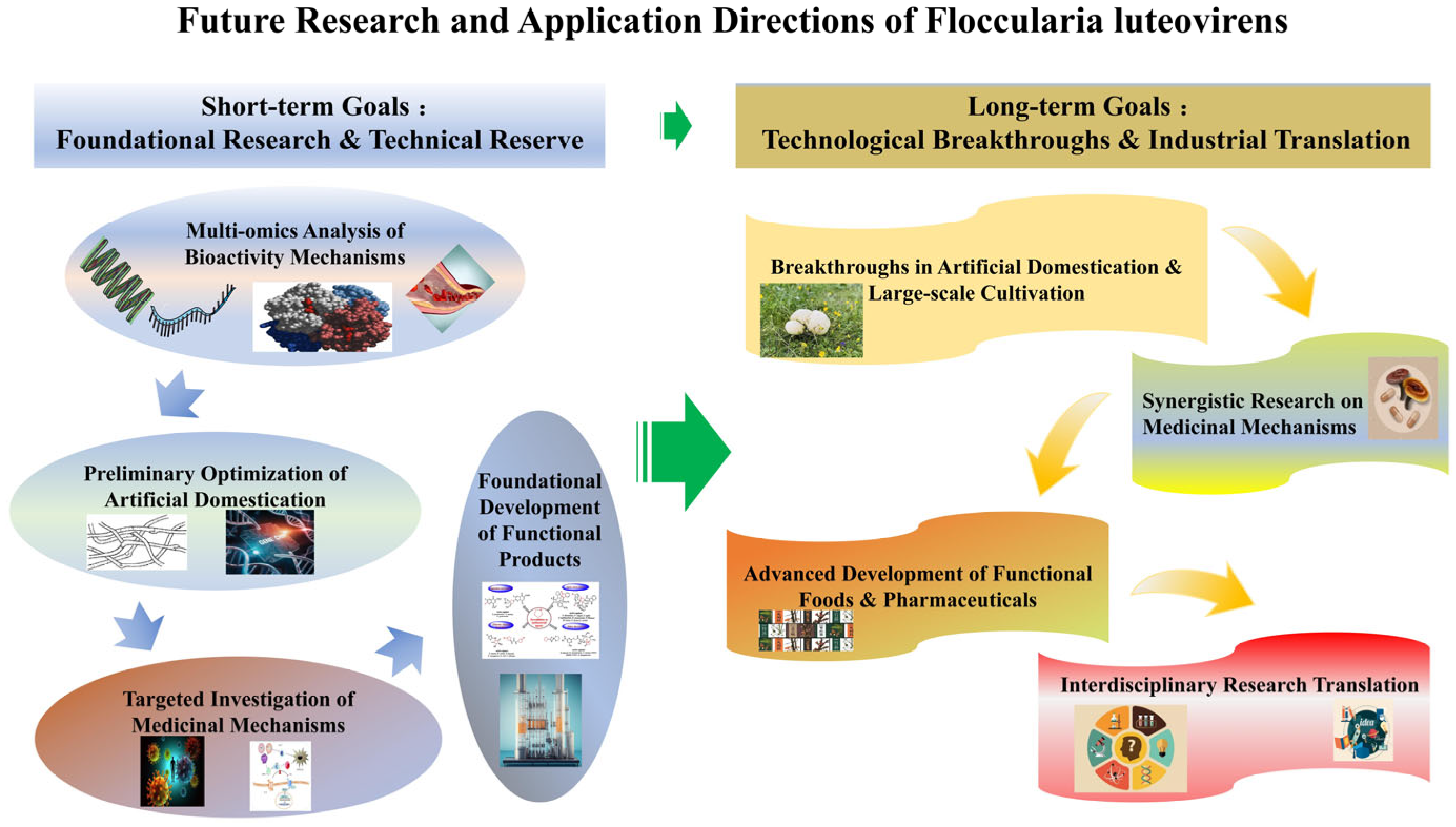 Cimb 47 00742 g005 Cimb 47 00742 g005