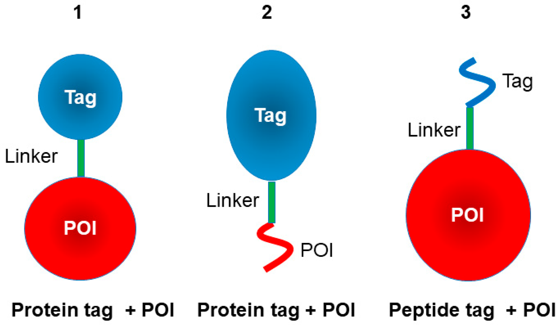 Cimb 47 00768 g001 Cimb 47 00768 g001