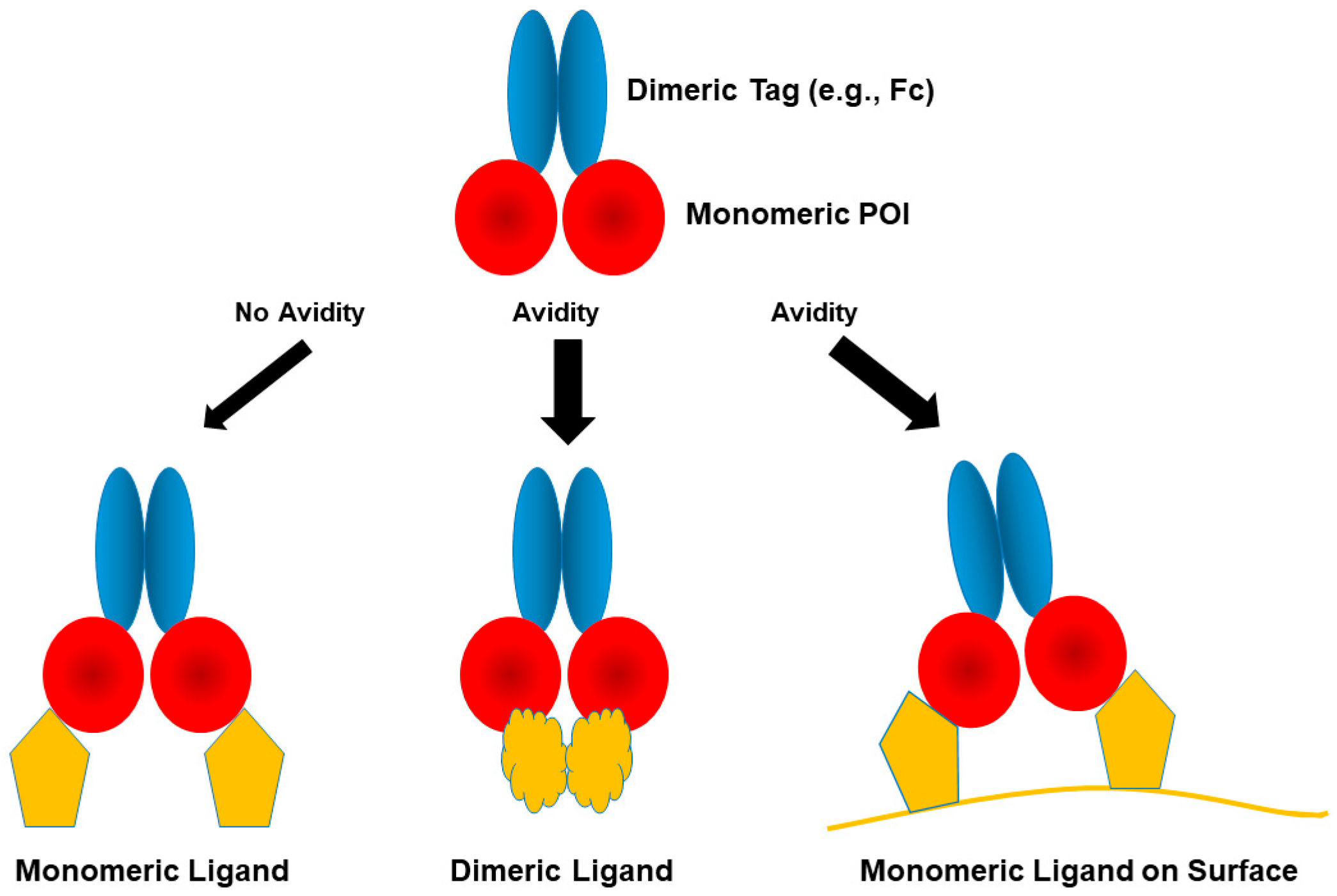 Cimb 47 00768 g003 Cimb 47 00768 g003