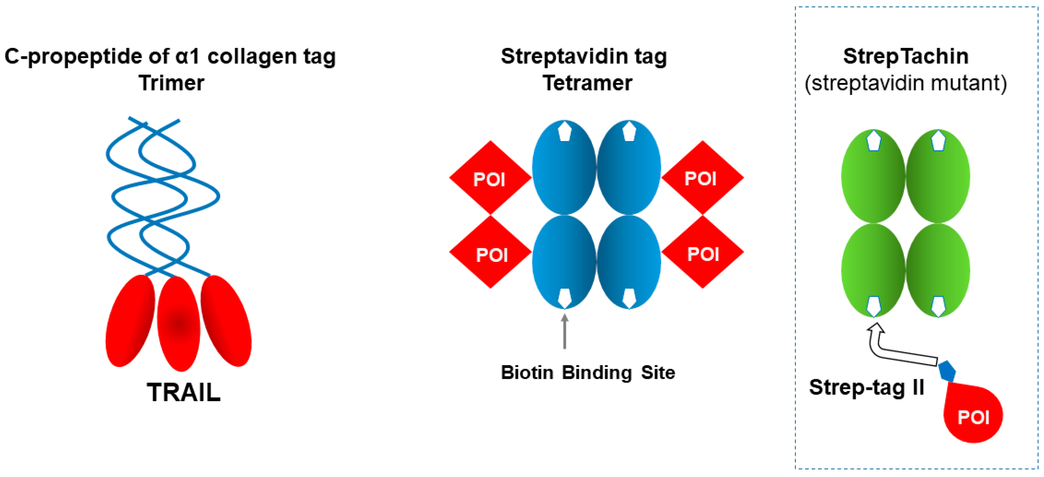 Cimb 47 00768 g006 Cimb 47 00768 g006