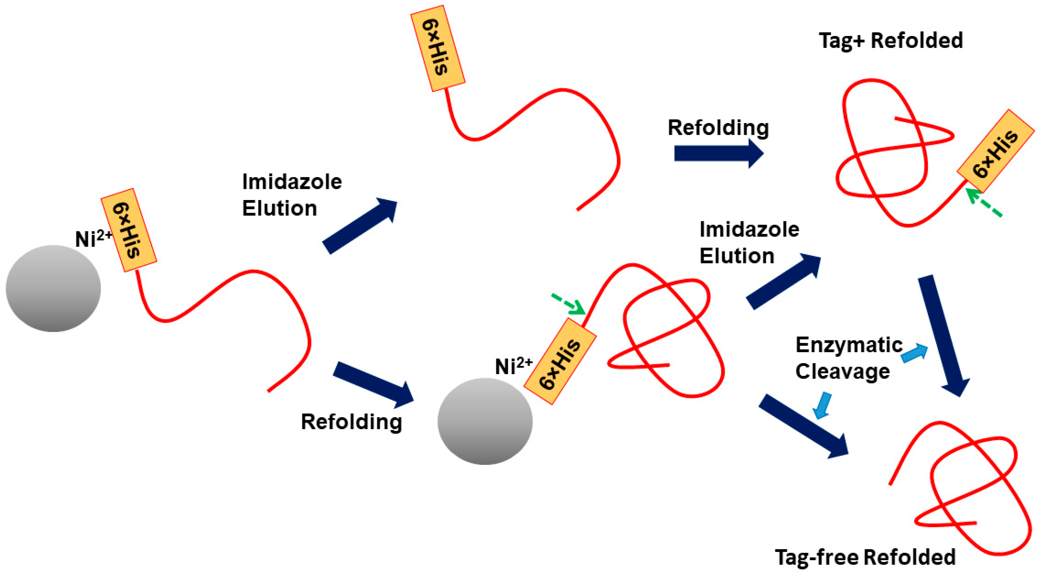 Cimb 47 00768 g007 Cimb 47 00768 g007
