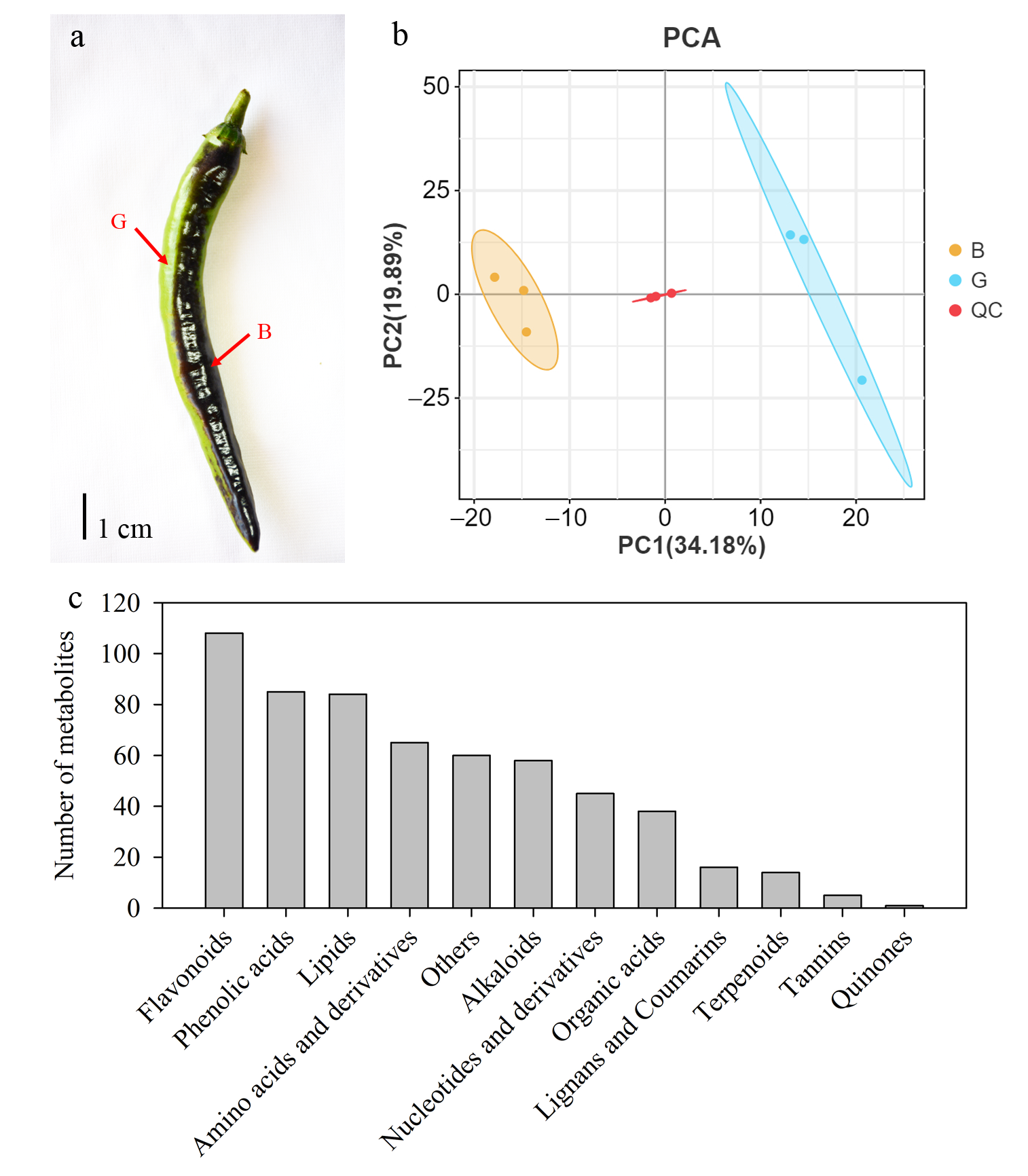 Cimb 47 00774 g001 Cimb 47 00774 g001