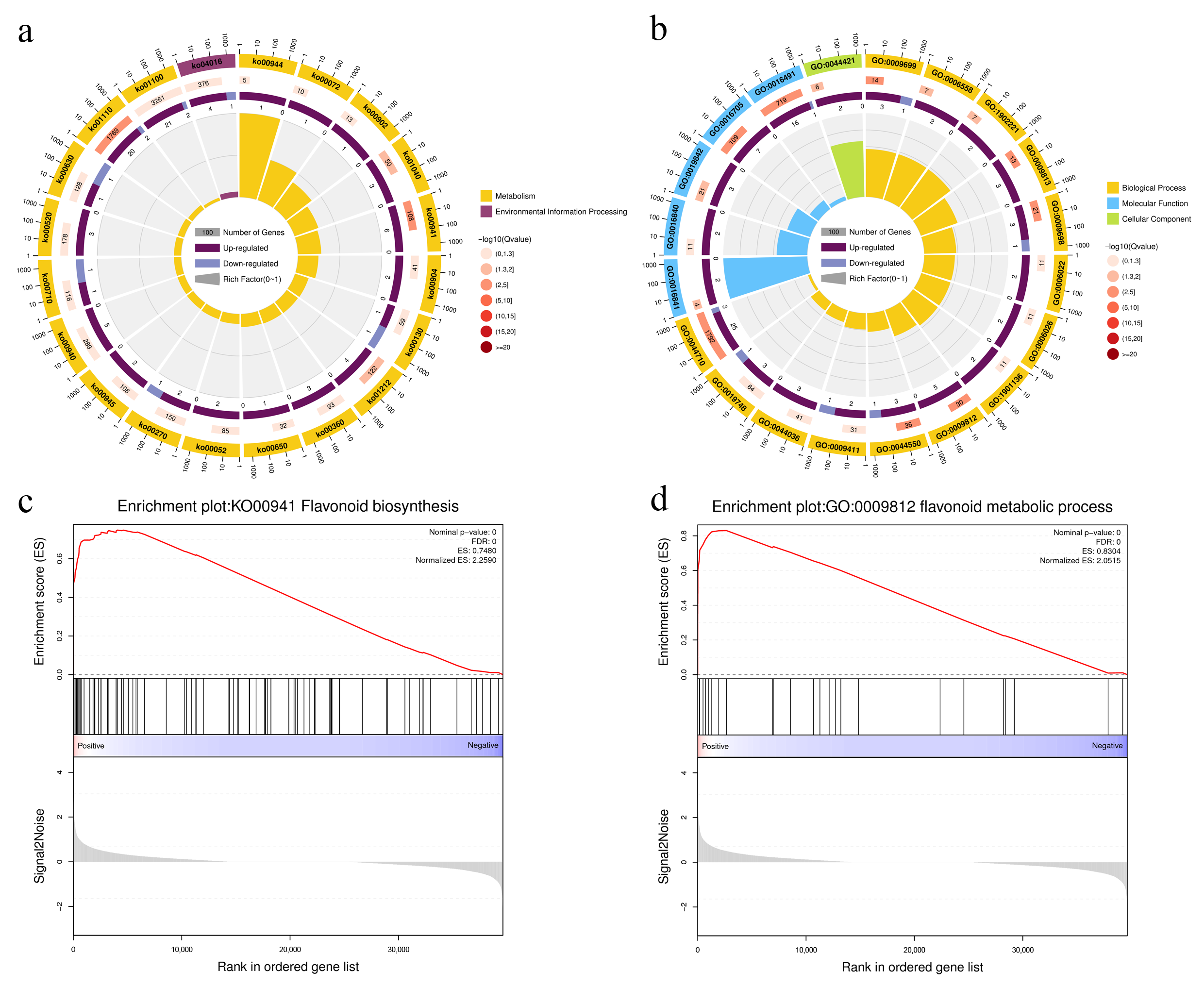 Cimb 47 00774 g004 Cimb 47 00774 g004