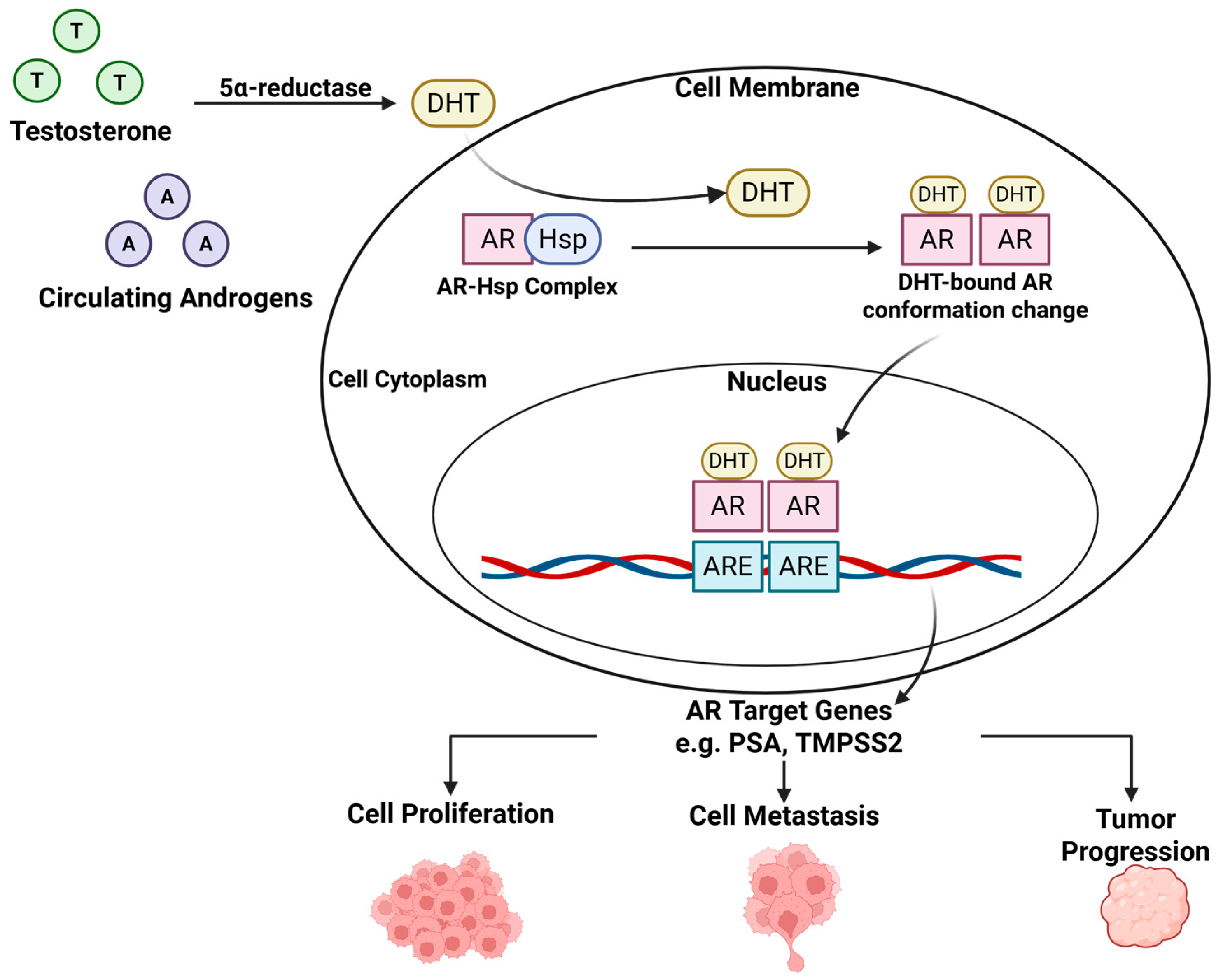Cimb 47 00780 g001 Cimb 47 00780 g001