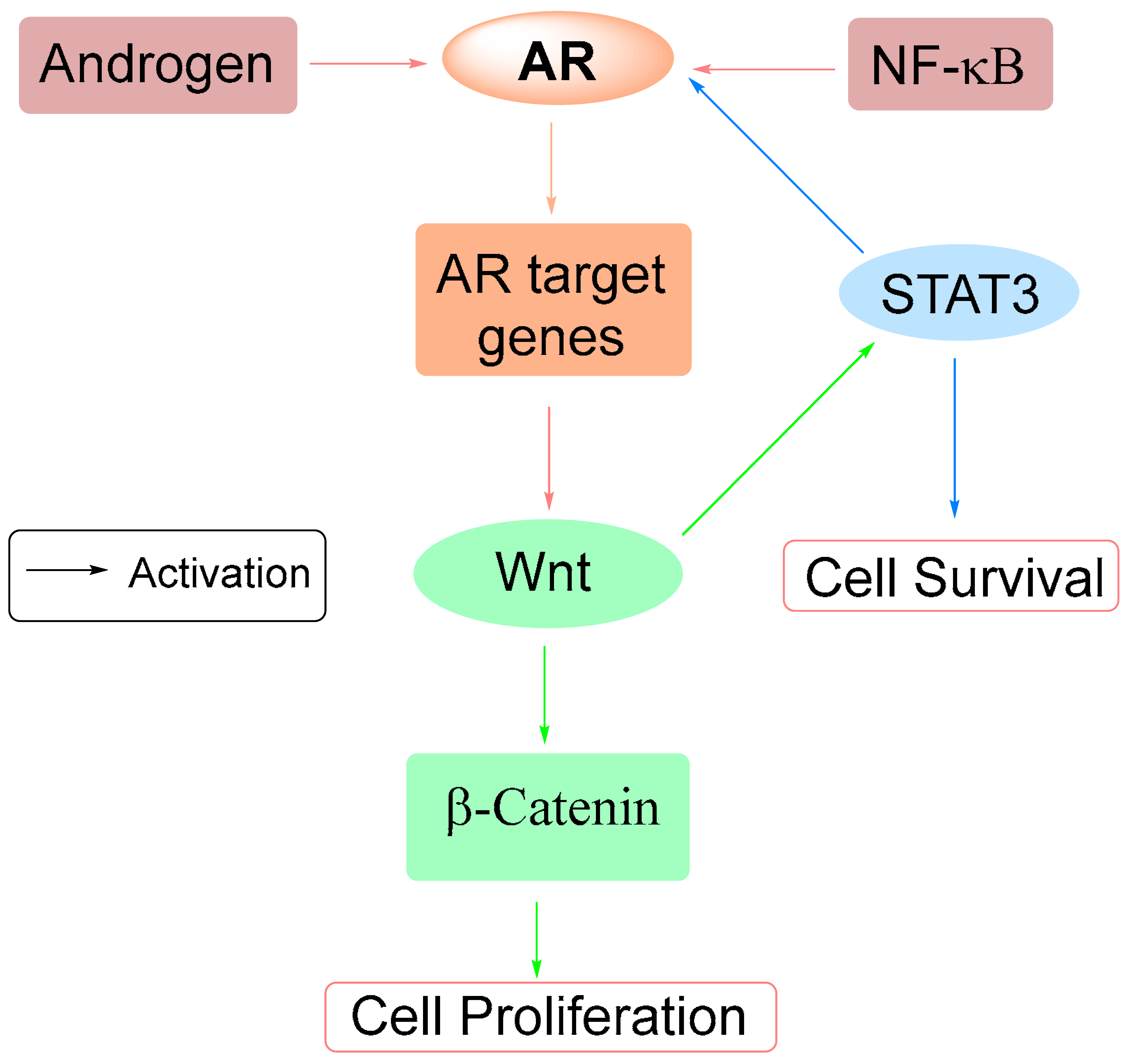 Cimb 47 00780 g009 Cimb 47 00780 g009