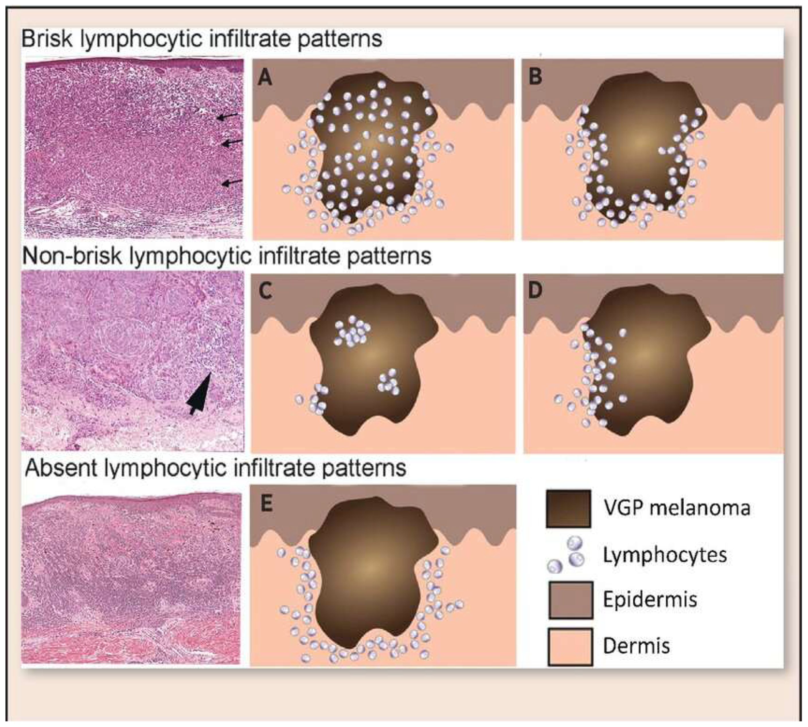 Cimb 47 00821 g001 Cimb 47 00821 g001