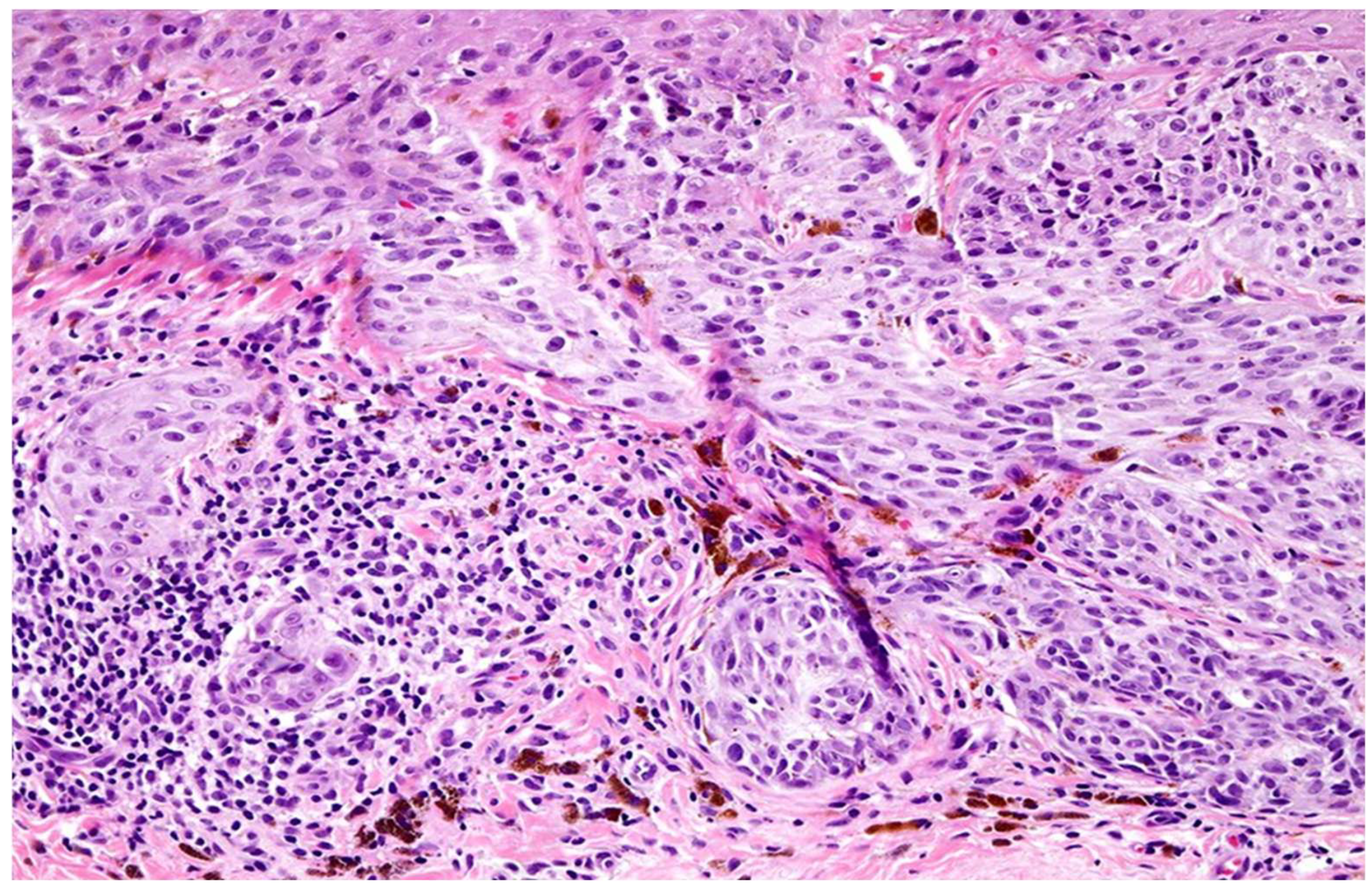 Cimb 47 00821 g002 Cimb 47 00821 g002