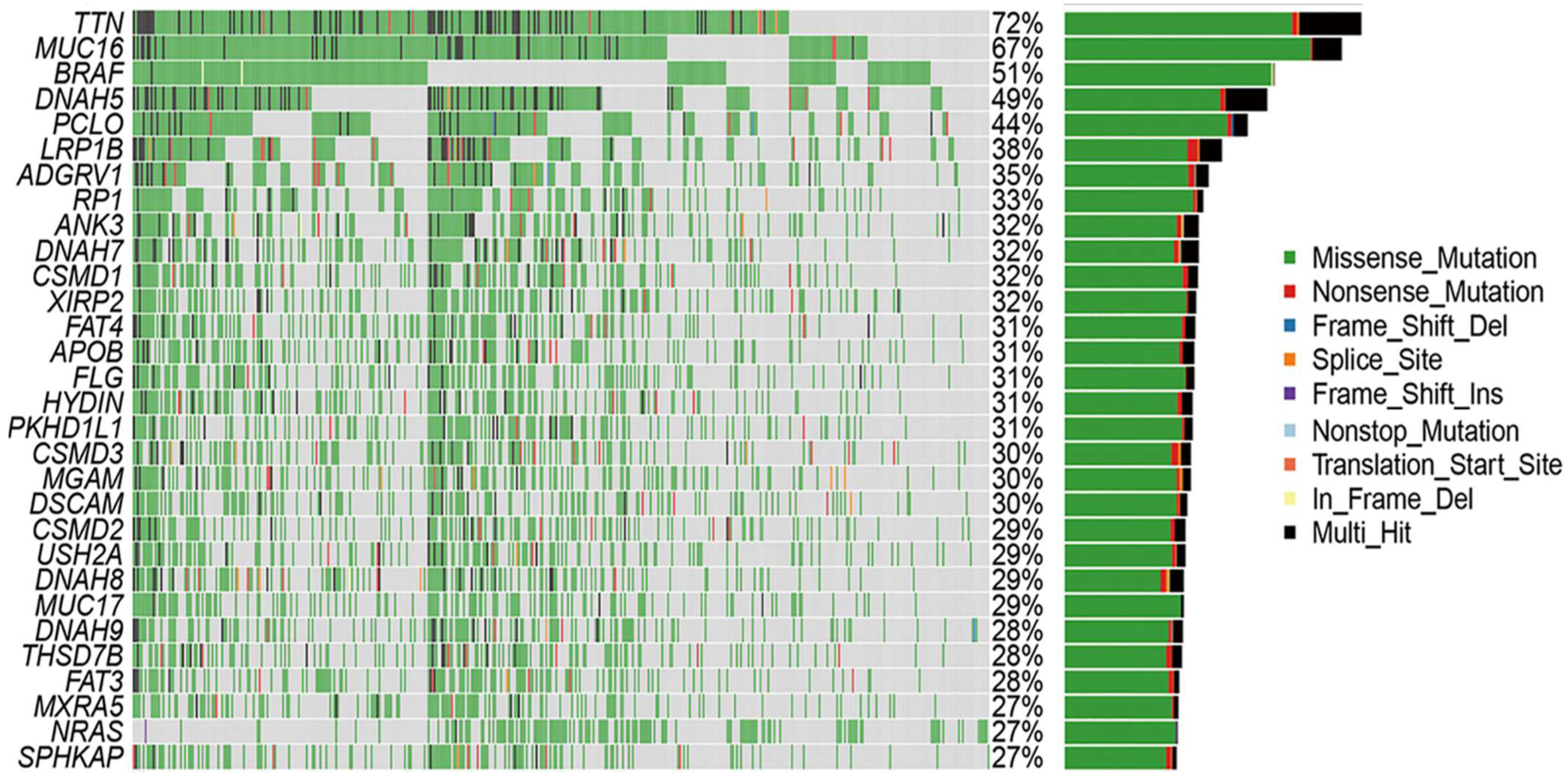 Cimb 47 00821 g003 Cimb 47 00821 g003