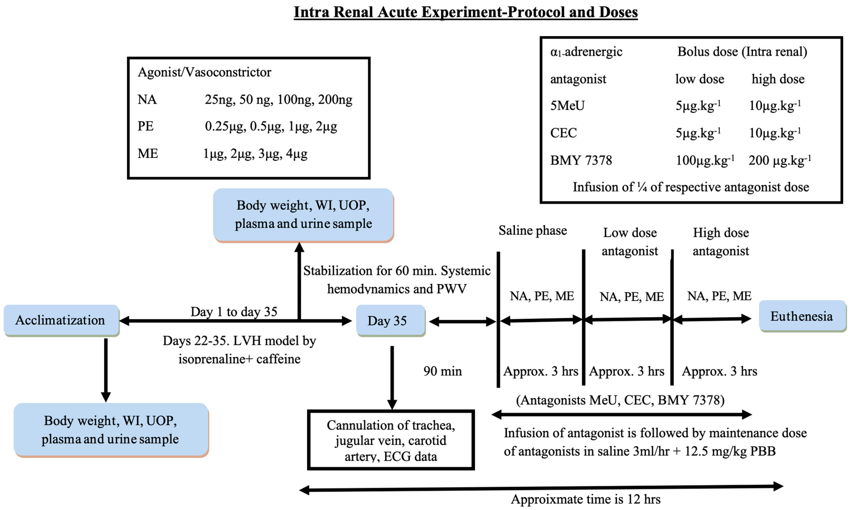 Cimb 47 00848 sch002