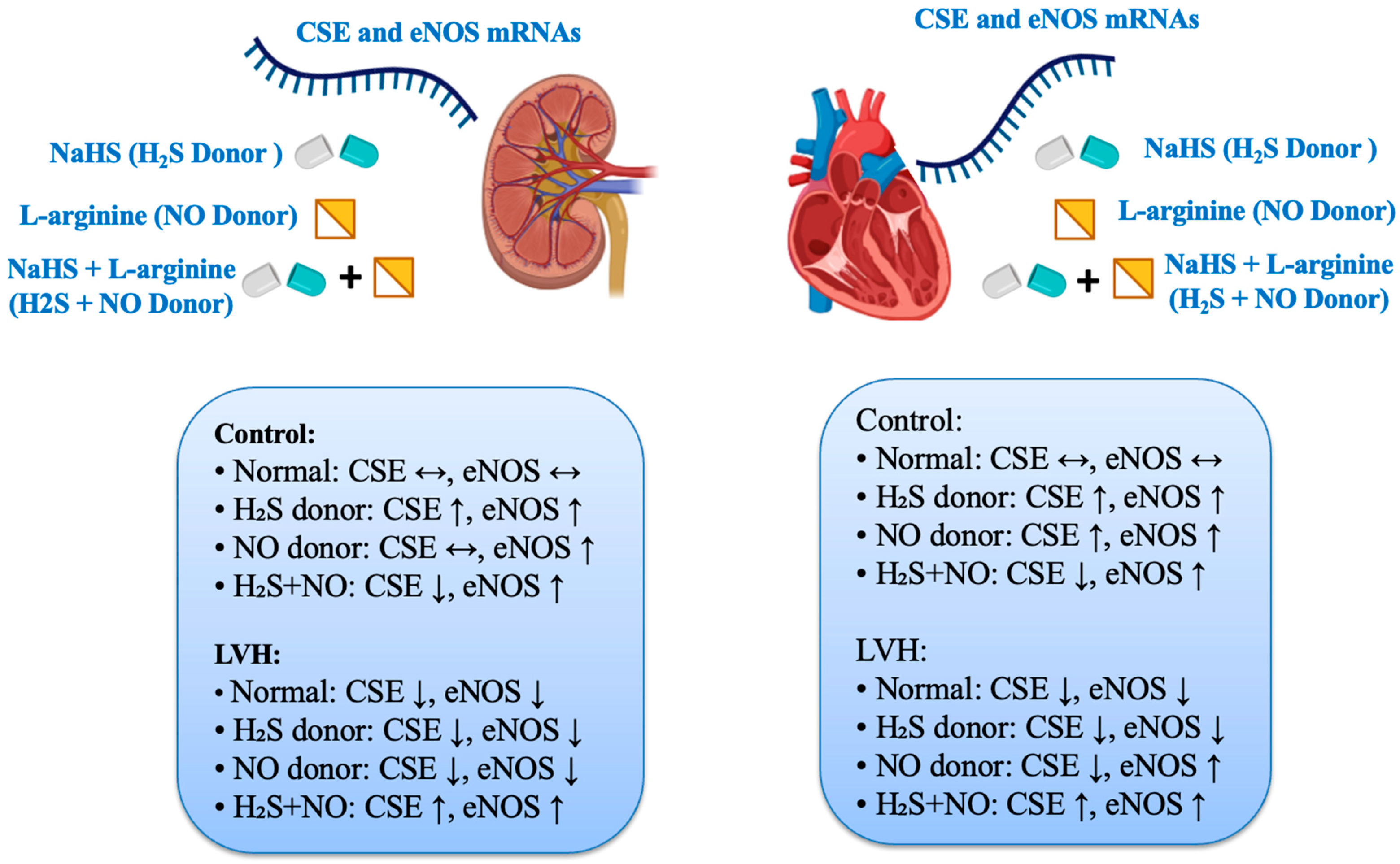 Cimb 47 00848 sch003