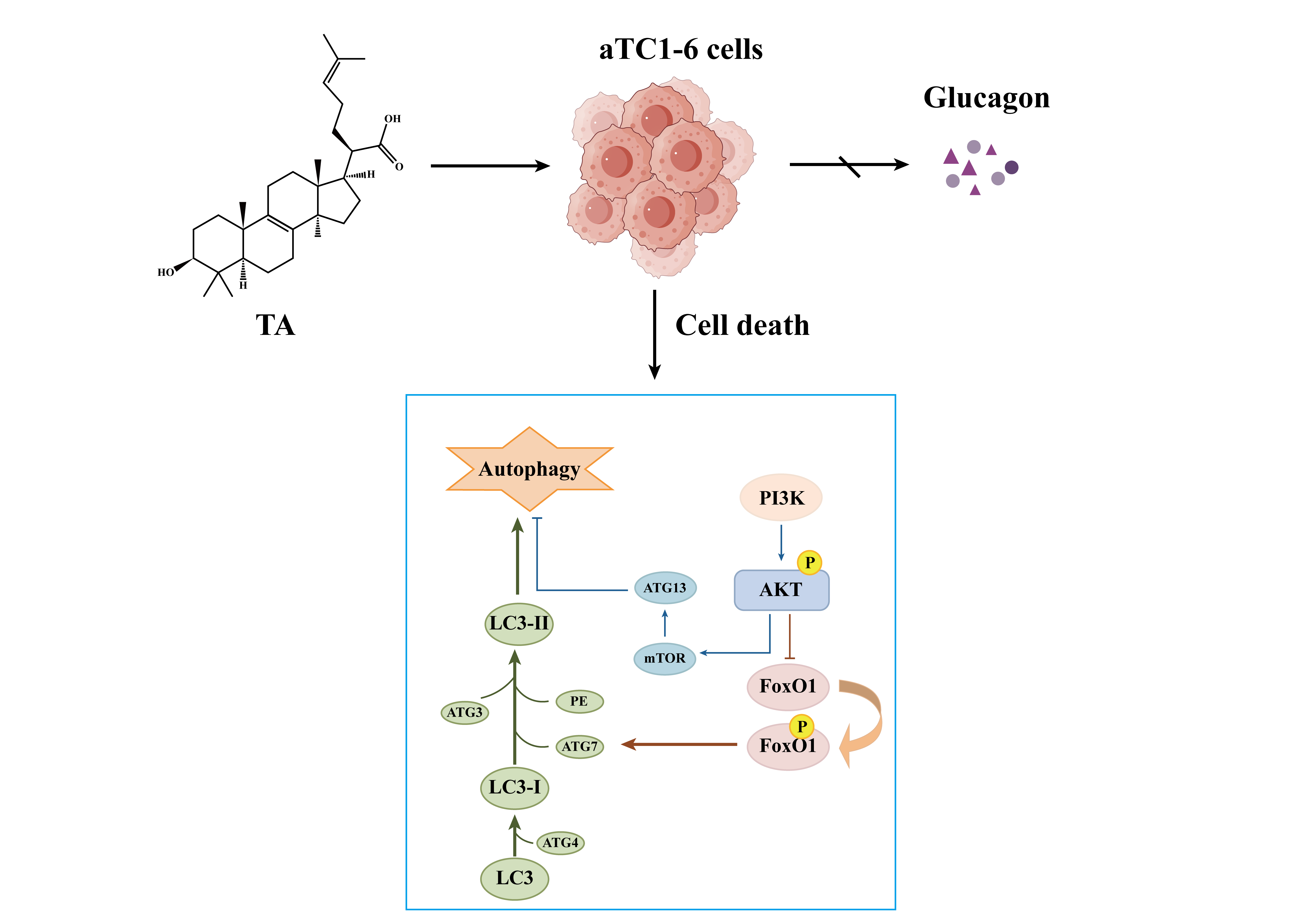 Cimb 47 00871 g001 Cimb 47 00871 g001