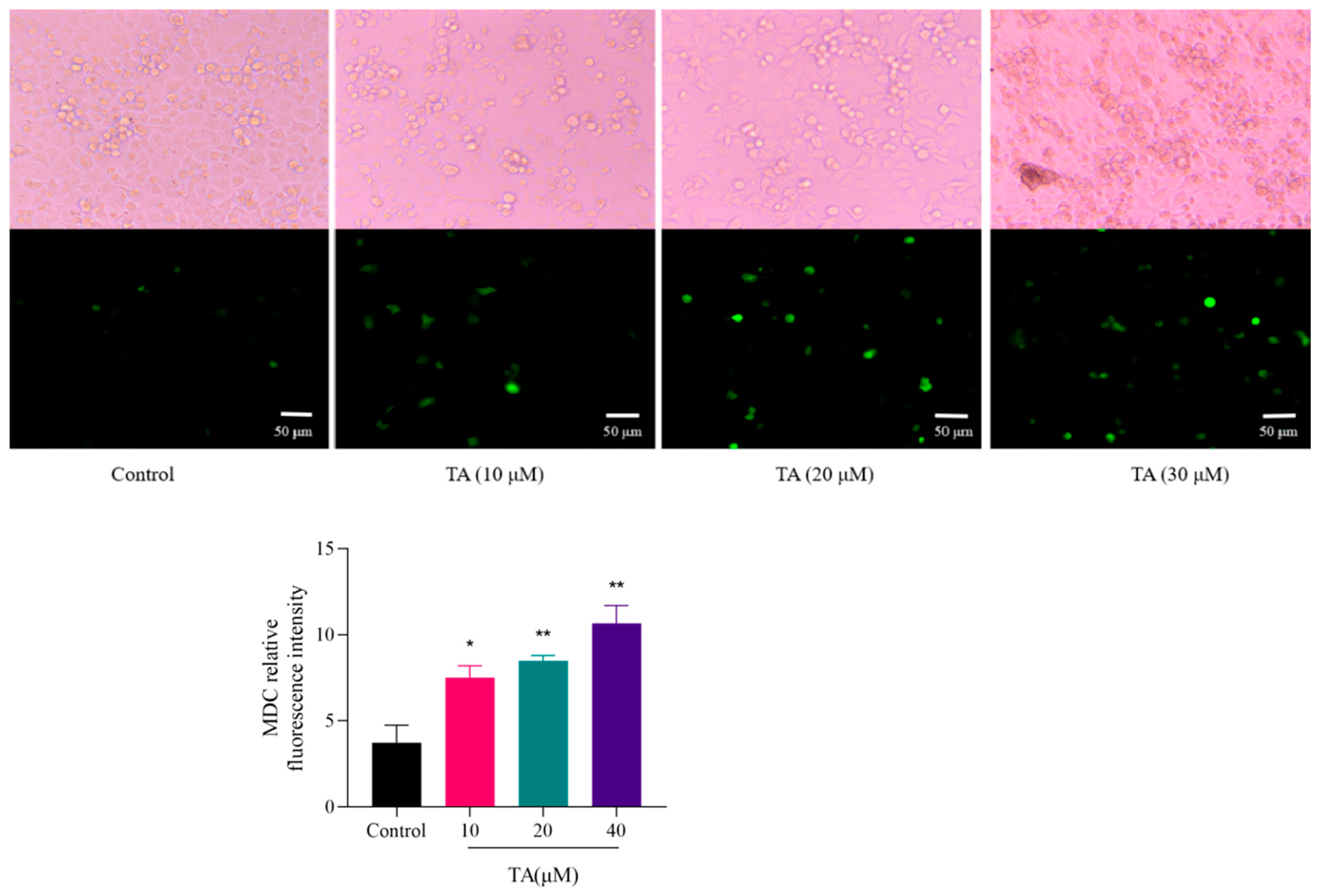 Cimb 47 00871 g005 Cimb 47 00871 g005