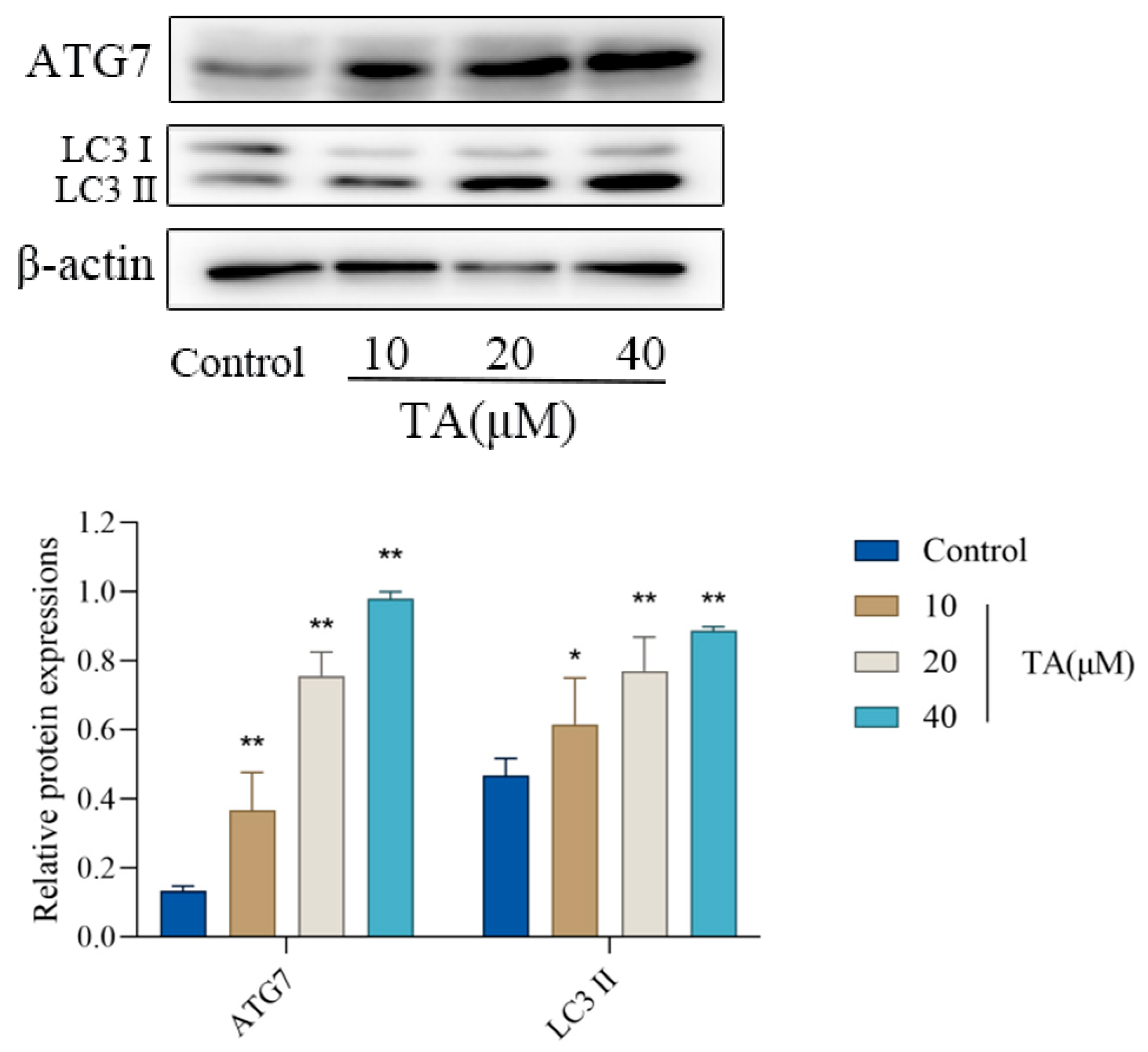 Cimb 47 00871 g006a Cimb 47 00871 g006a