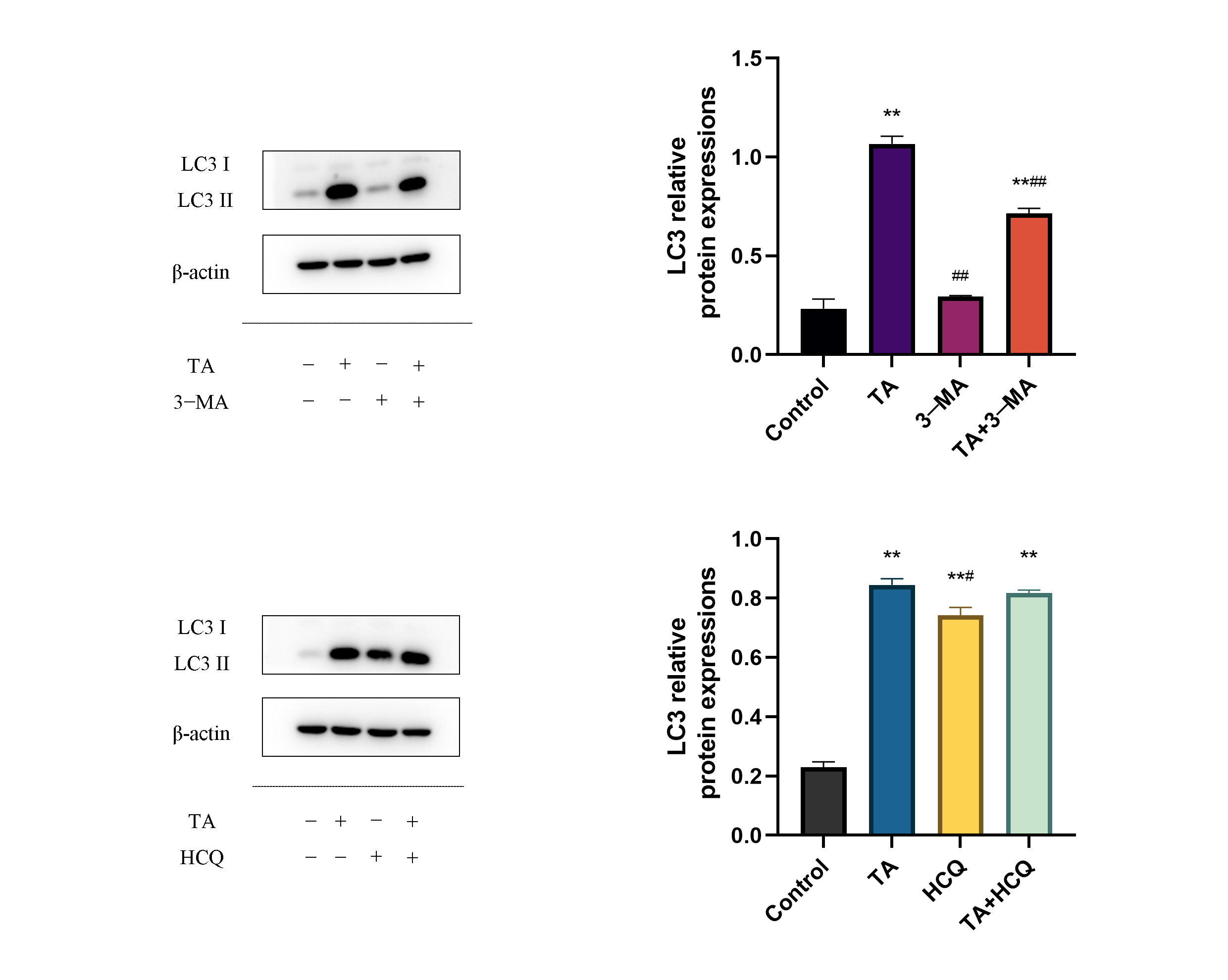 Cimb 47 00871 g006b Cimb 47 00871 g006b