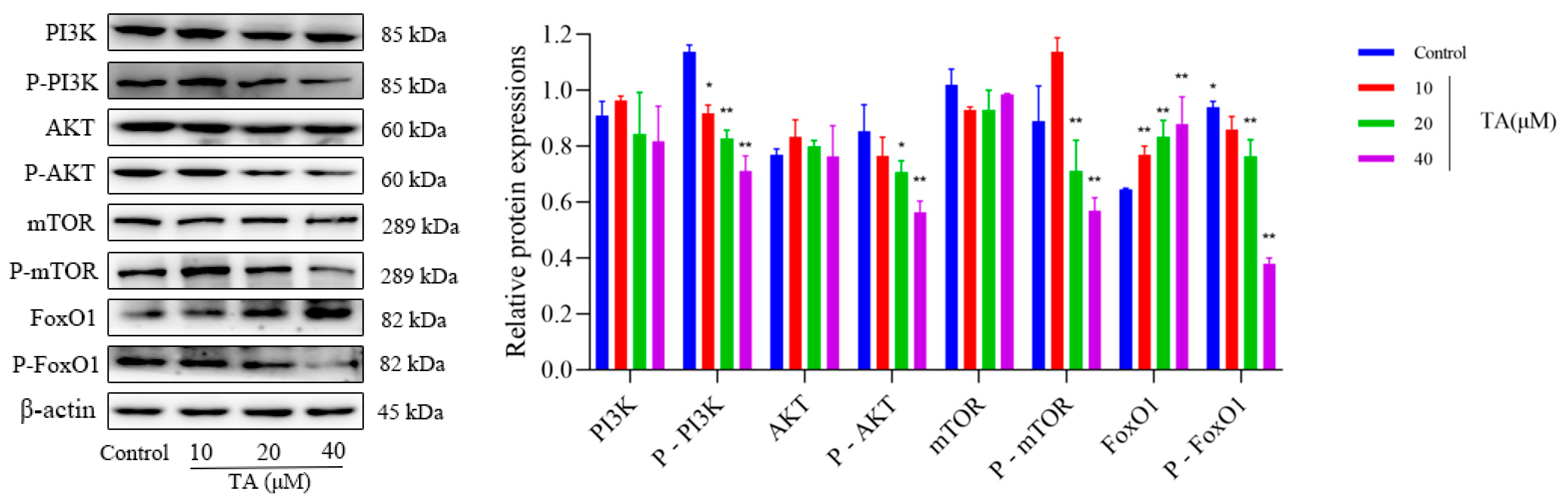 Cimb 47 00871 g007 Cimb 47 00871 g007
