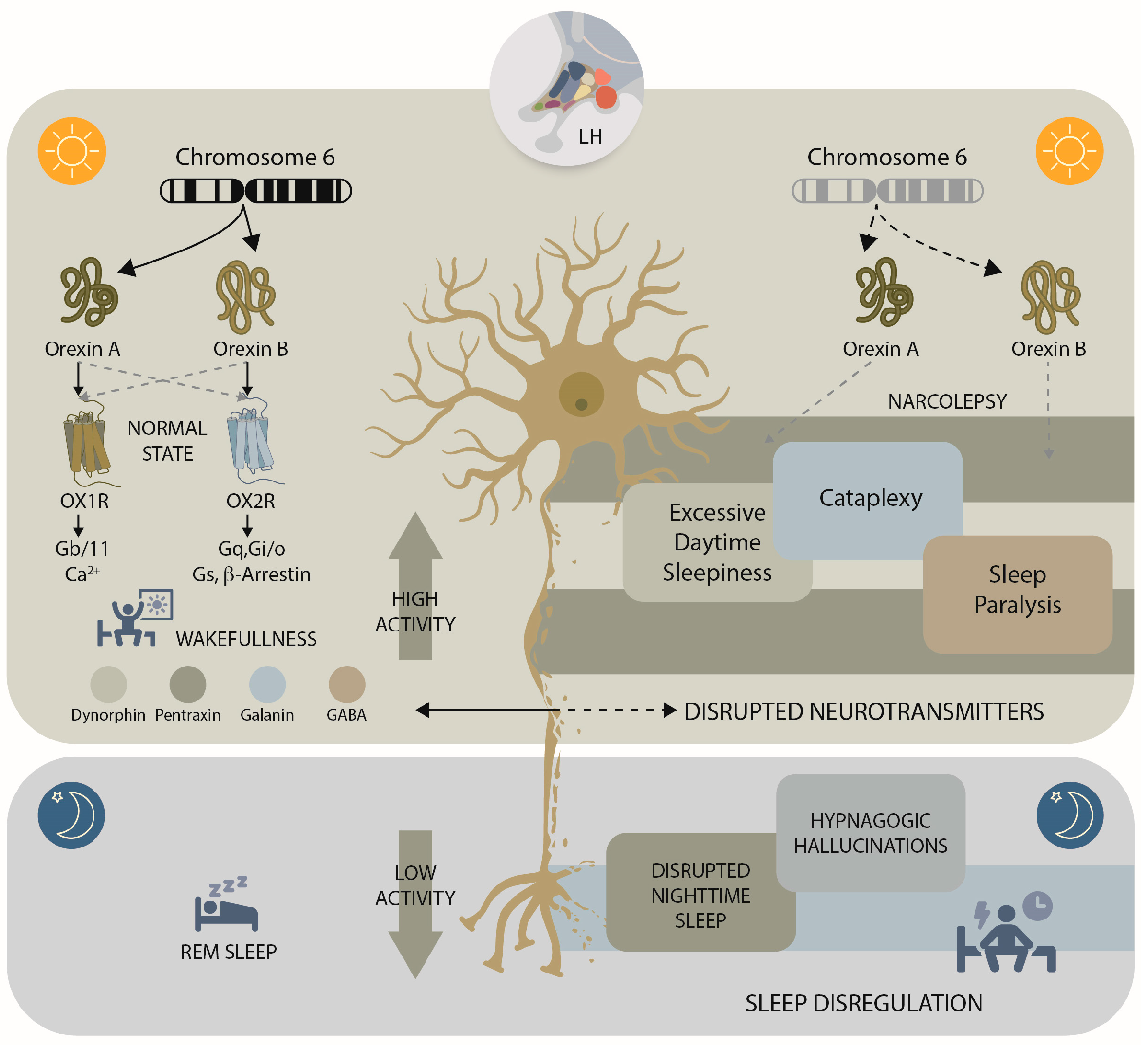 Cimb 47 00874 g001 Cimb 47 00874 g001