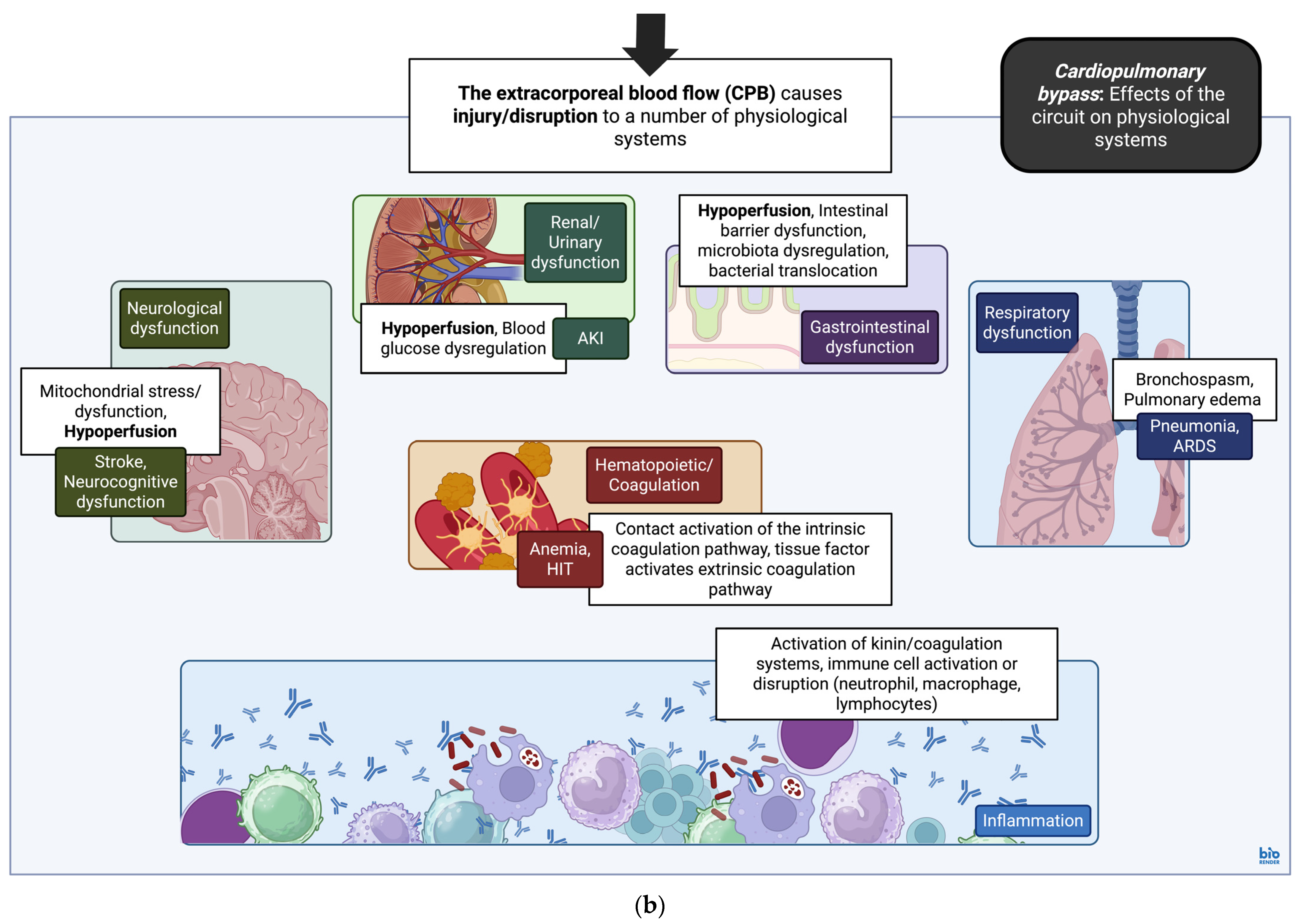 Cimb 47 00911 g001b Cimb 47 00911 g001b